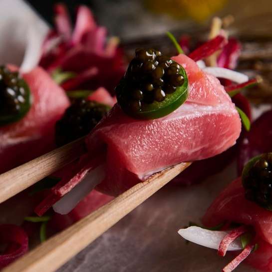 MoreCravings_Akira Back