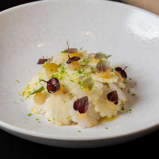 MoreCravings_City Social