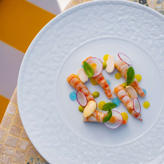 MoreCravings_BRAVA By Stefano Ciotti - Seasonally Closed