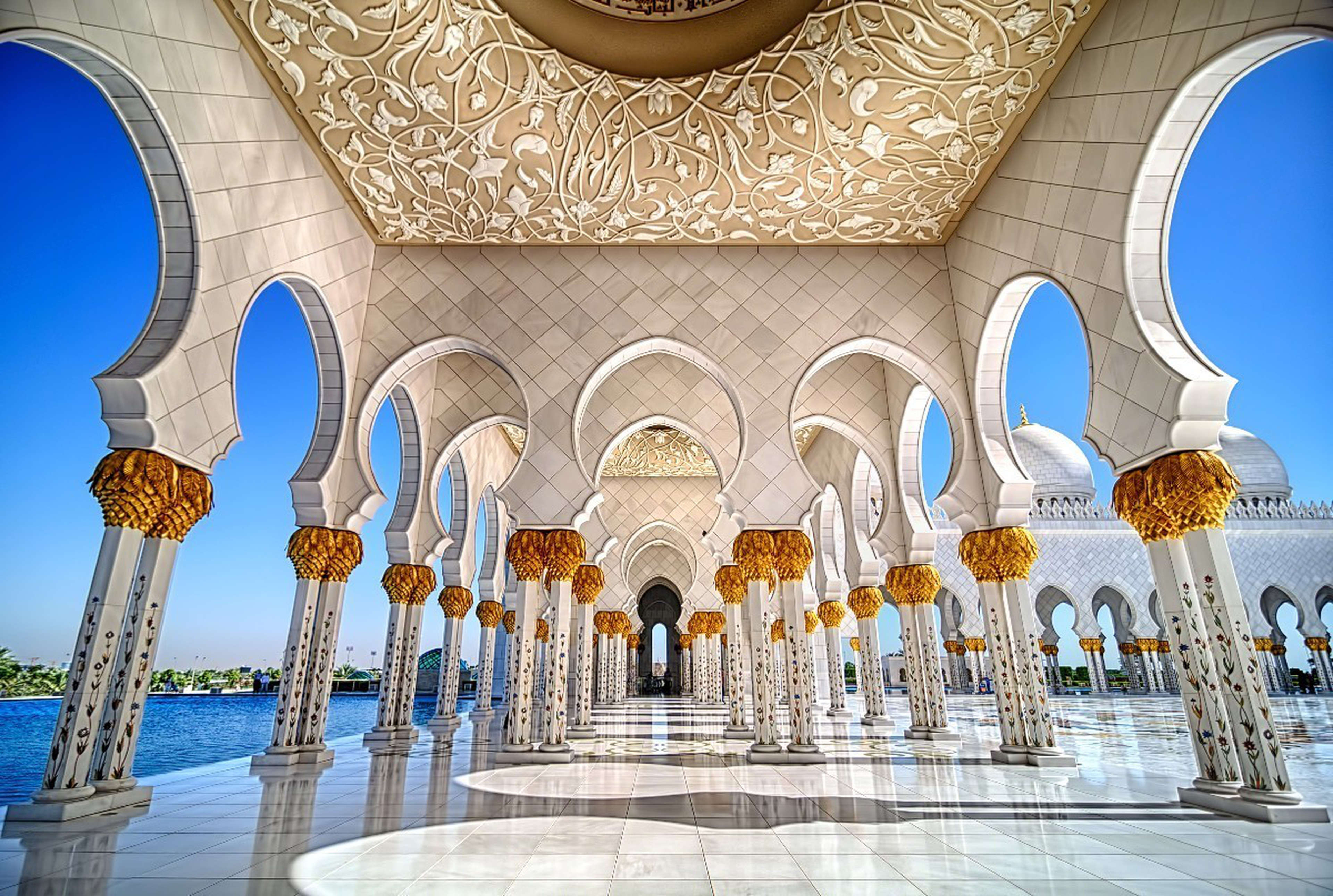 Disfrute de la naturaleza y la cultura en Abu Dabi