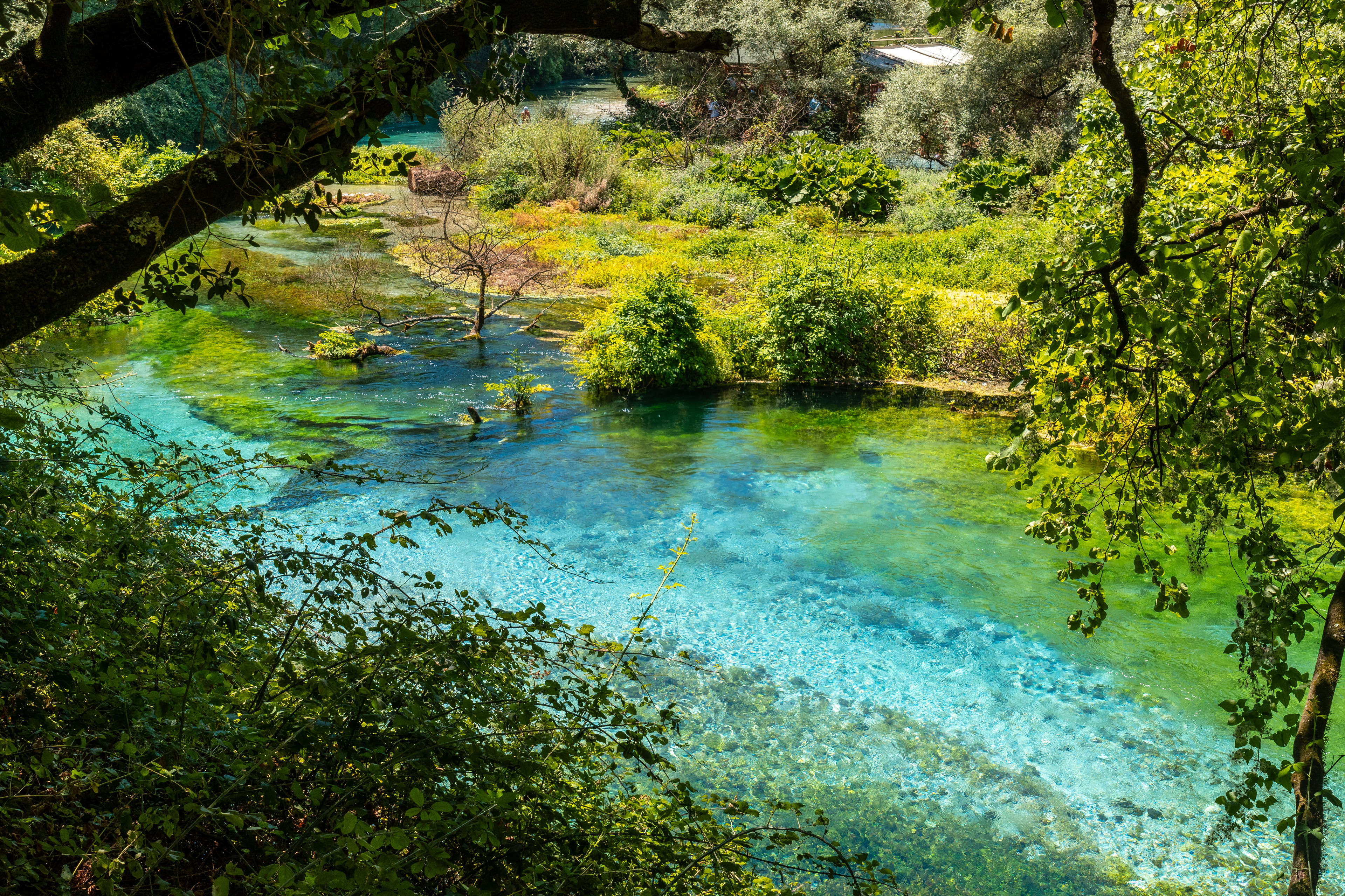 Das Blue Eye in Albanien