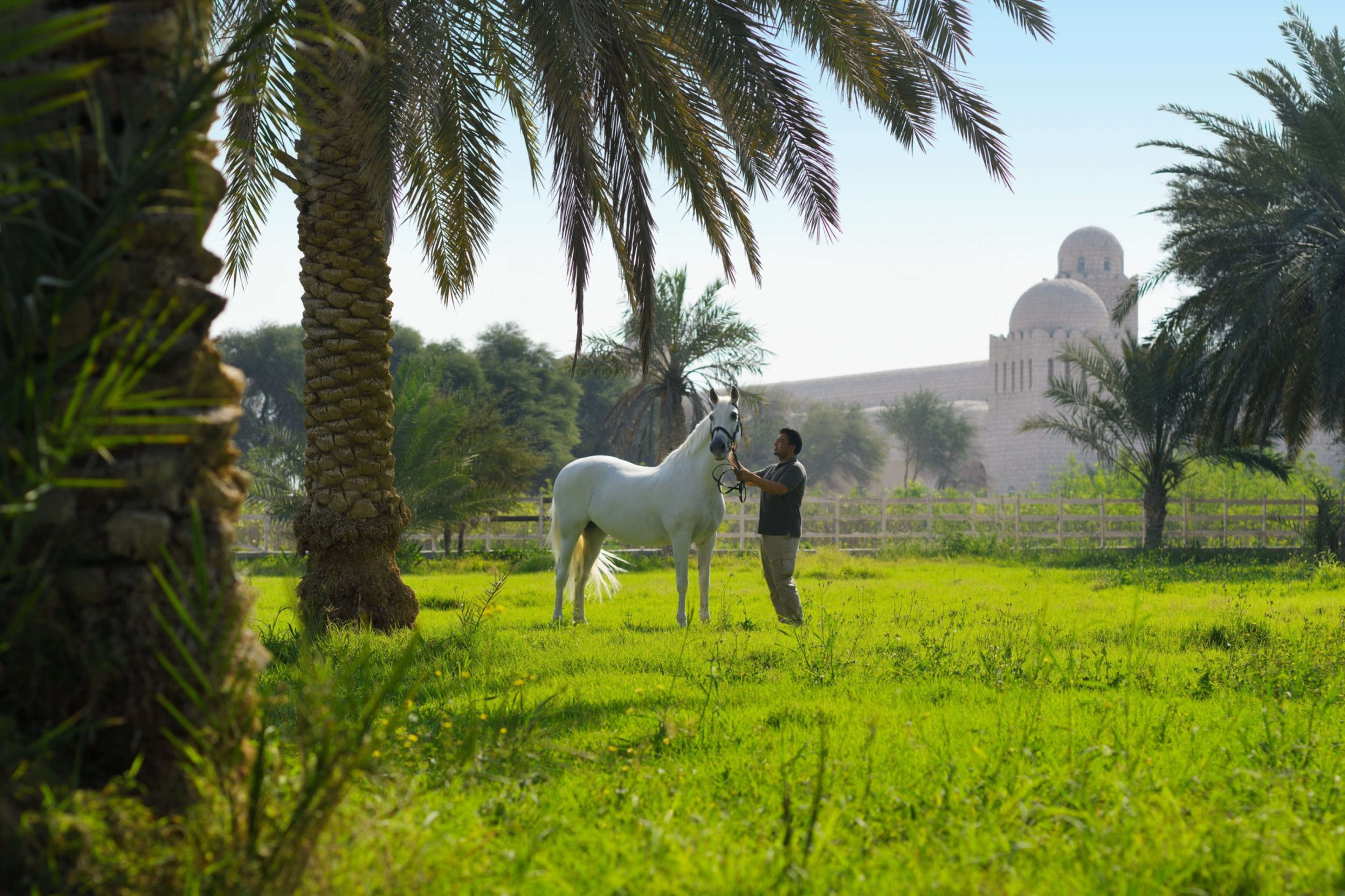 A man with a horse at Al Samriya, Doha, Autograph Collection