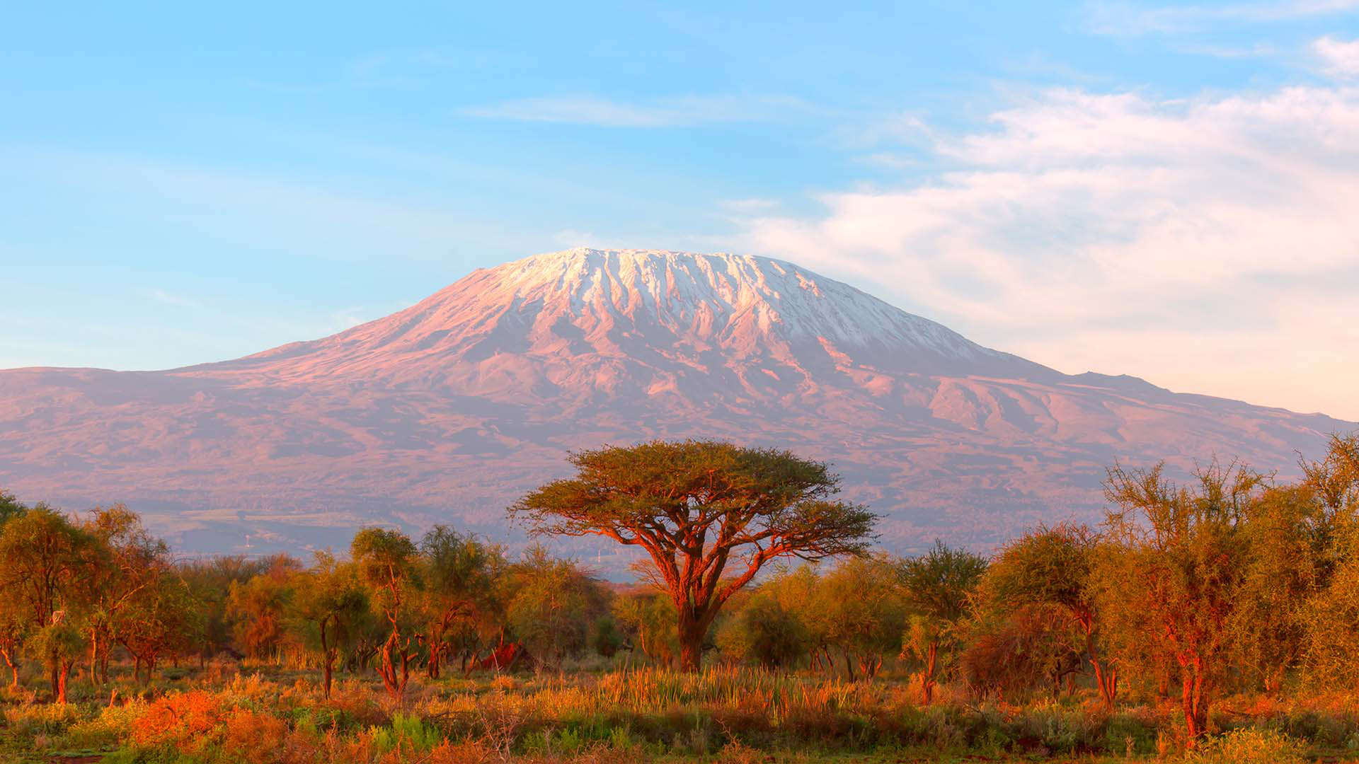 مشهد لجبل كليمنجارو في تنزانيا