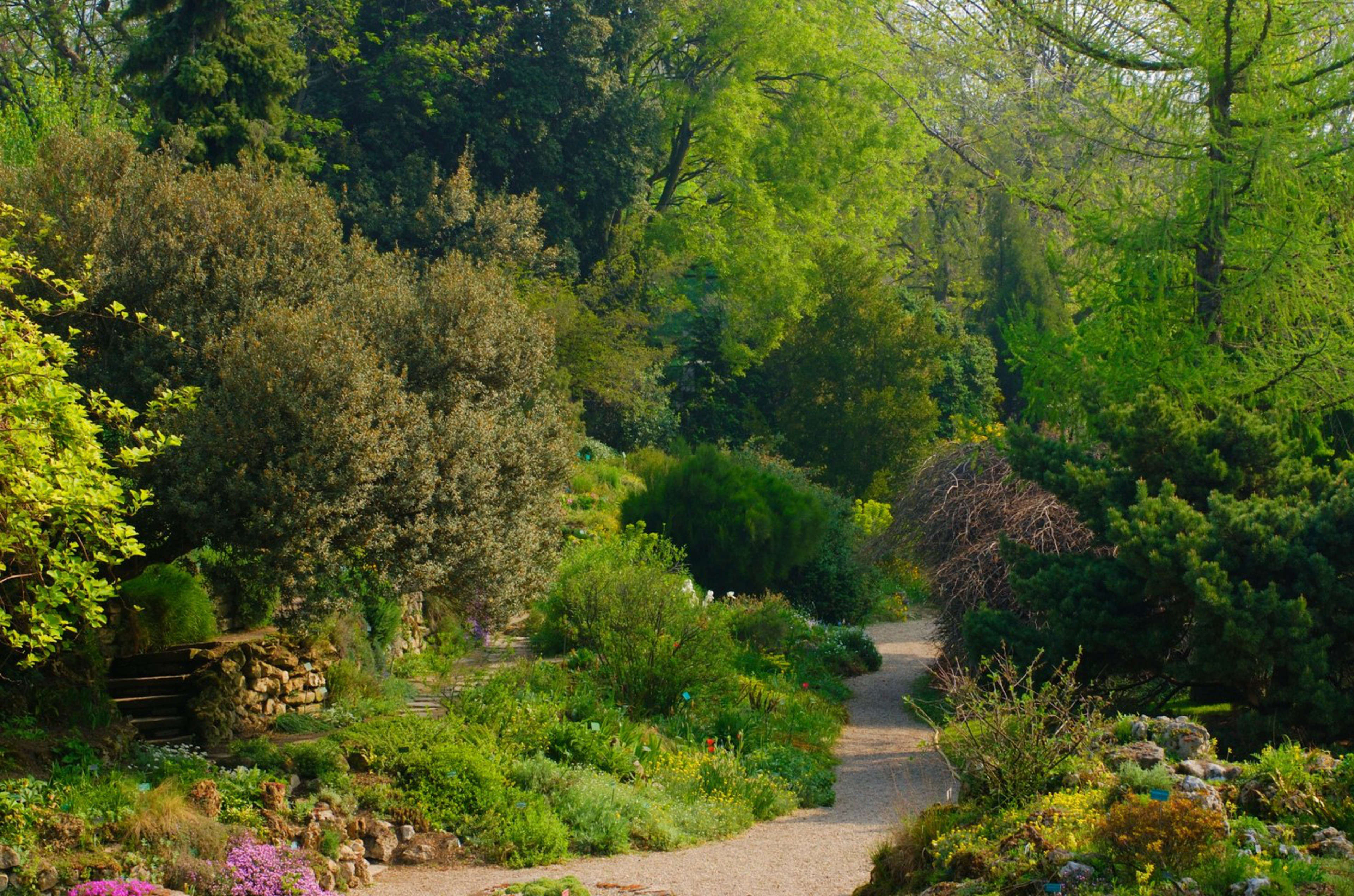 Le jardin alpin au Jardin des Plantes, à Paris