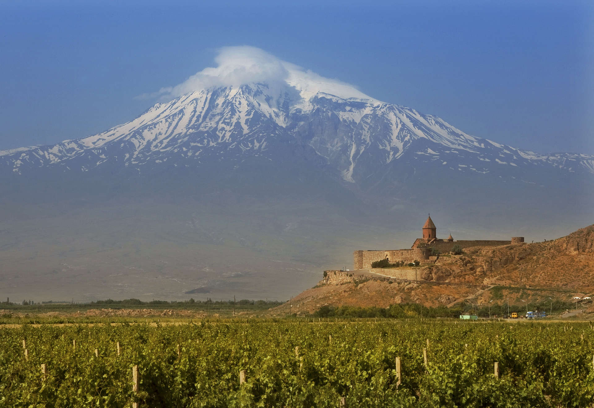 An Armenian vineyard