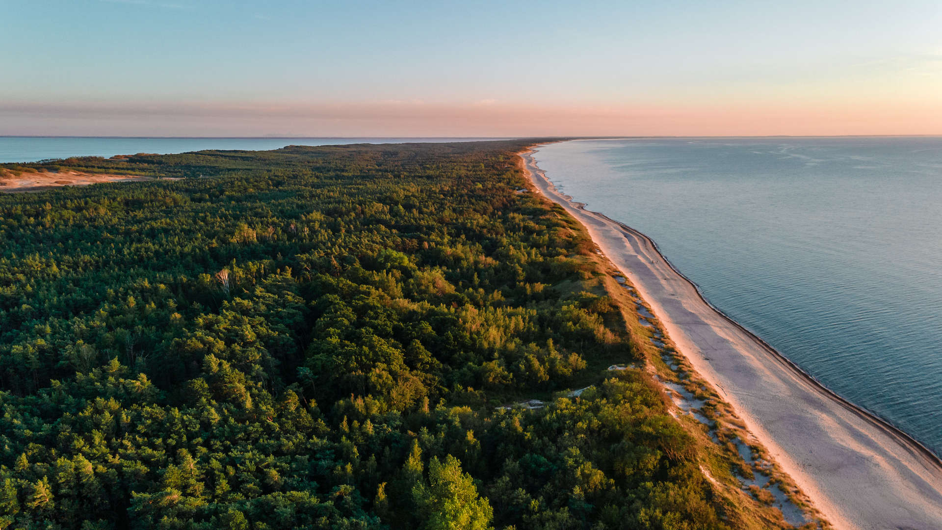 Beautiful landscape of Curonian spit on the Baltic sea with forest, beach and sea at sunset