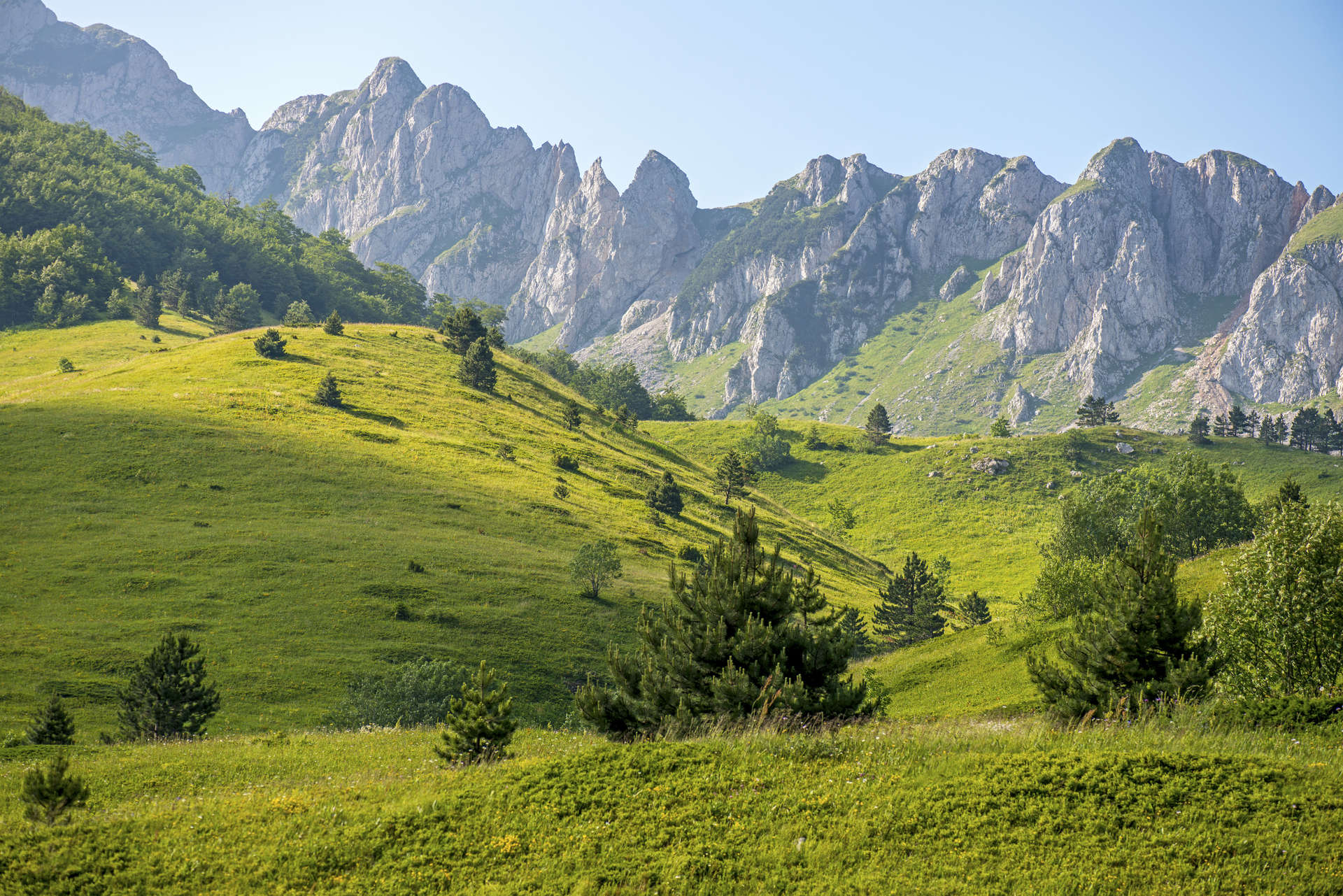 Beautiful meadows of national park Sutjeska, mountain Zelengora