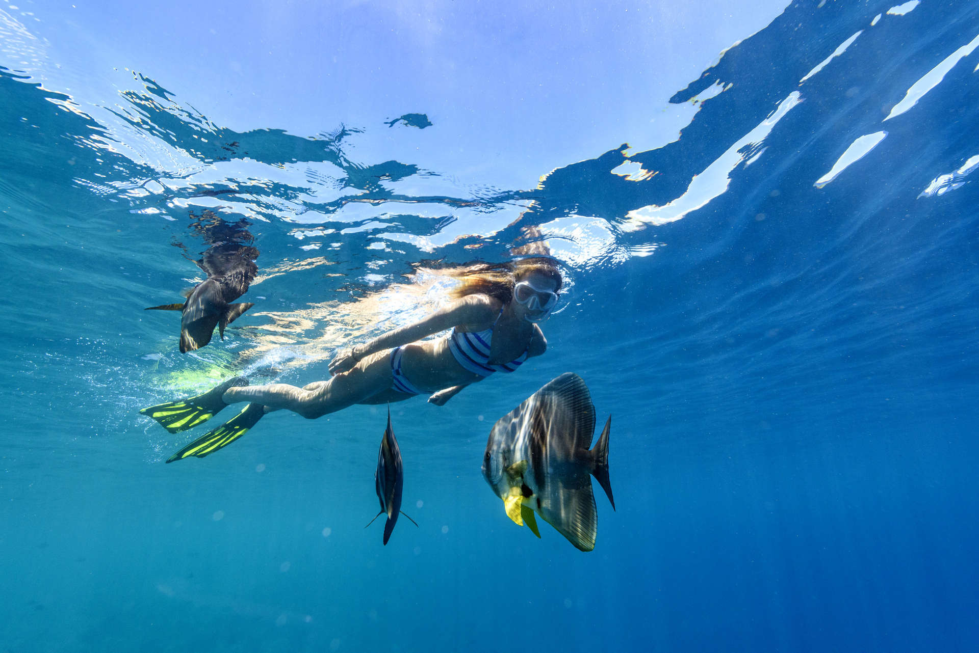 Le bellissime acque dell'Oceano Indiano