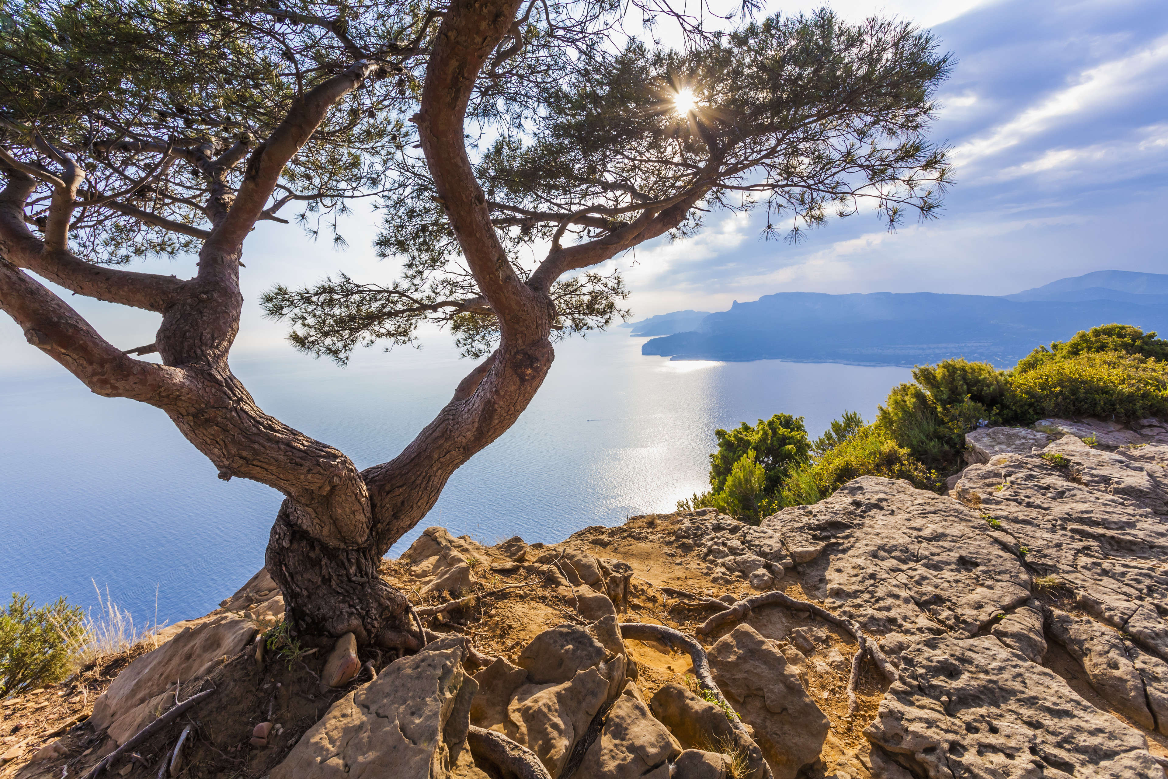 Bouches-du-Rhone, Mediterranean coast, near La Ciotat and Cassis