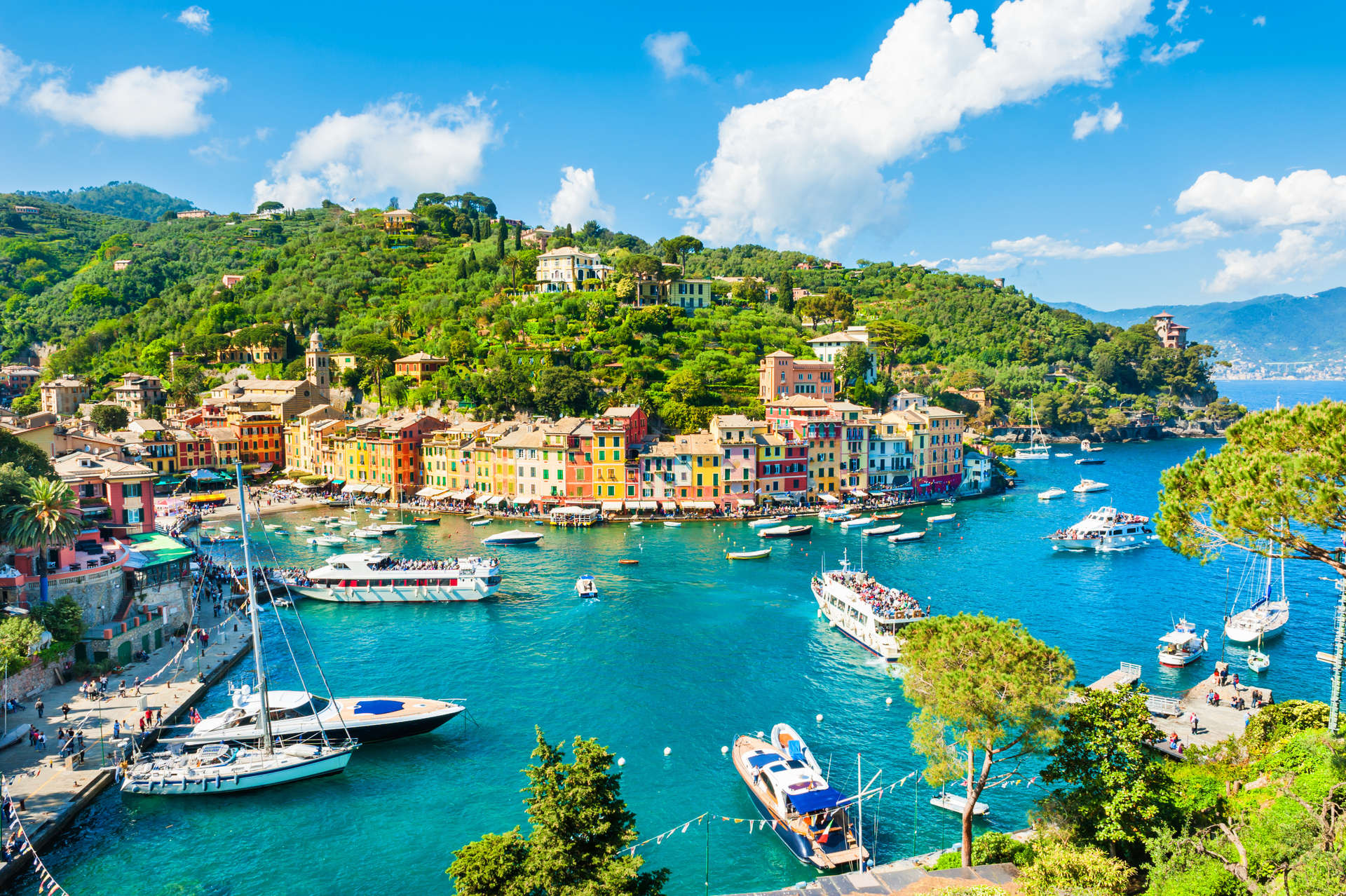 Superbe Portofino avec ses habitations en terre cuite et son port