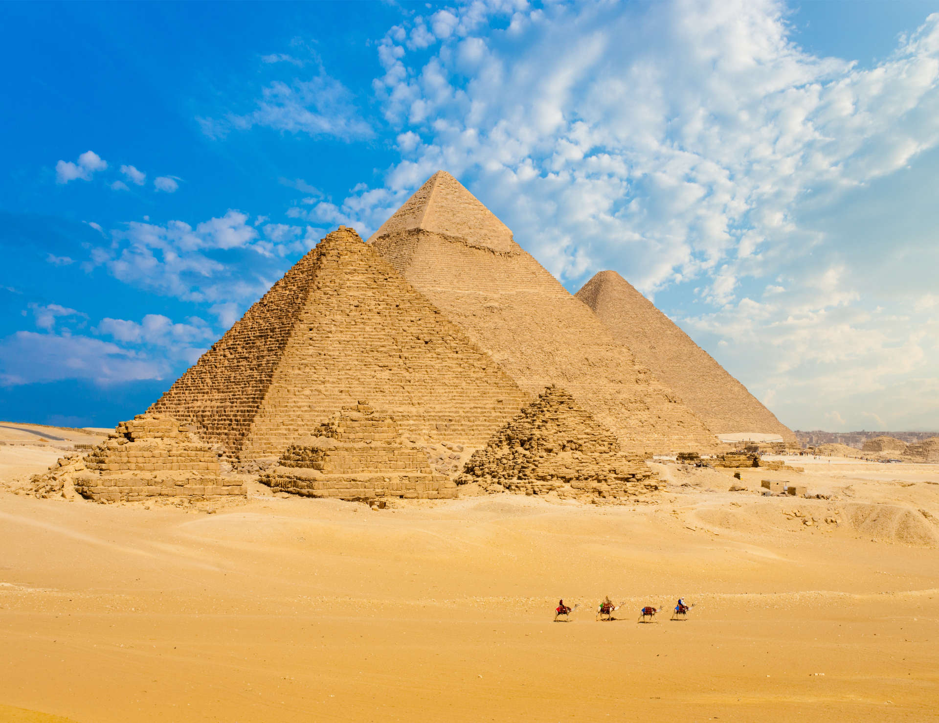 Kamele und die Pyramiden von Gizeh, Kairo, Ägypten