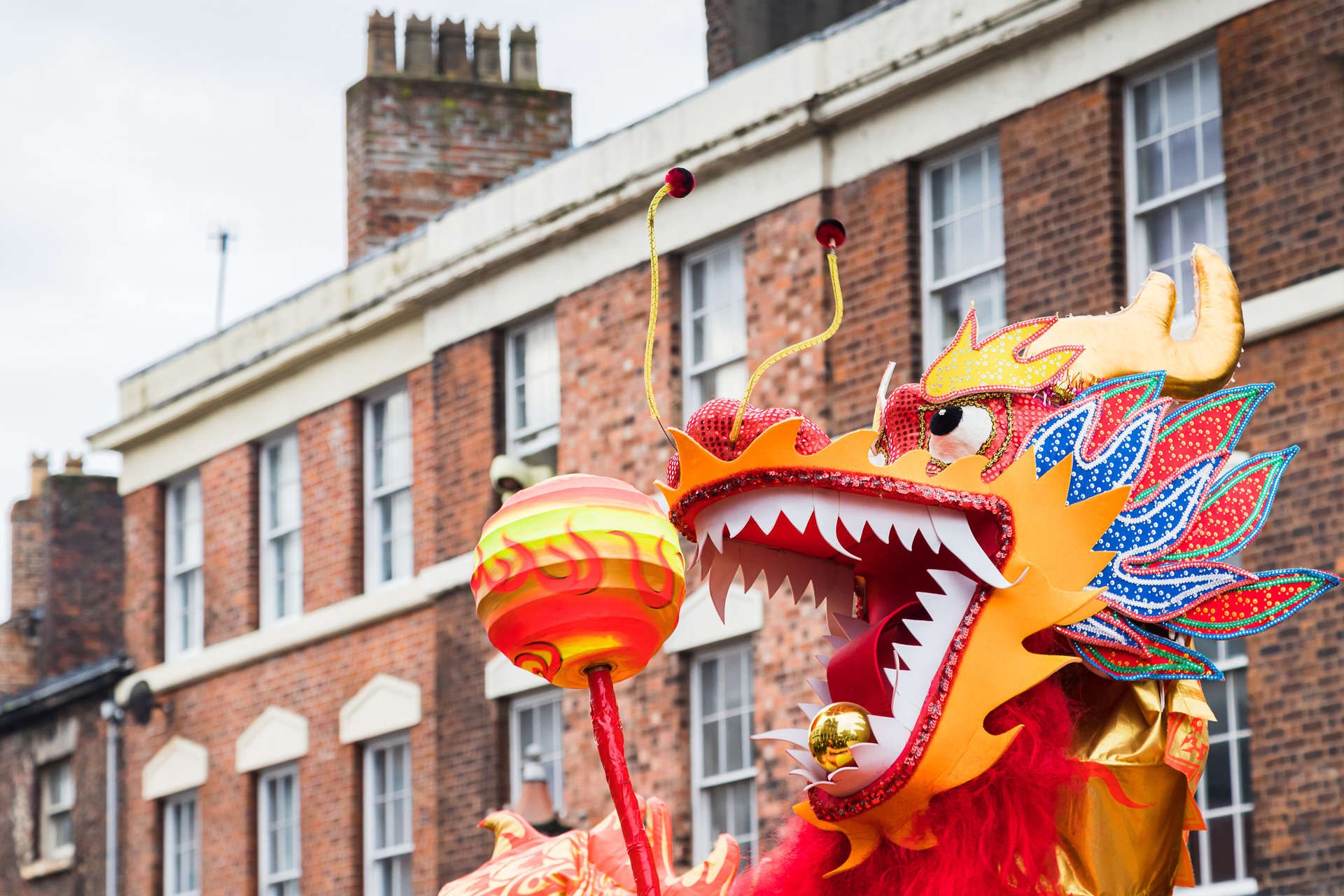 Close up of the dragon chasing the pearl during the traditional dragon dance to mark the Chinese New Year pictured in Liverpool