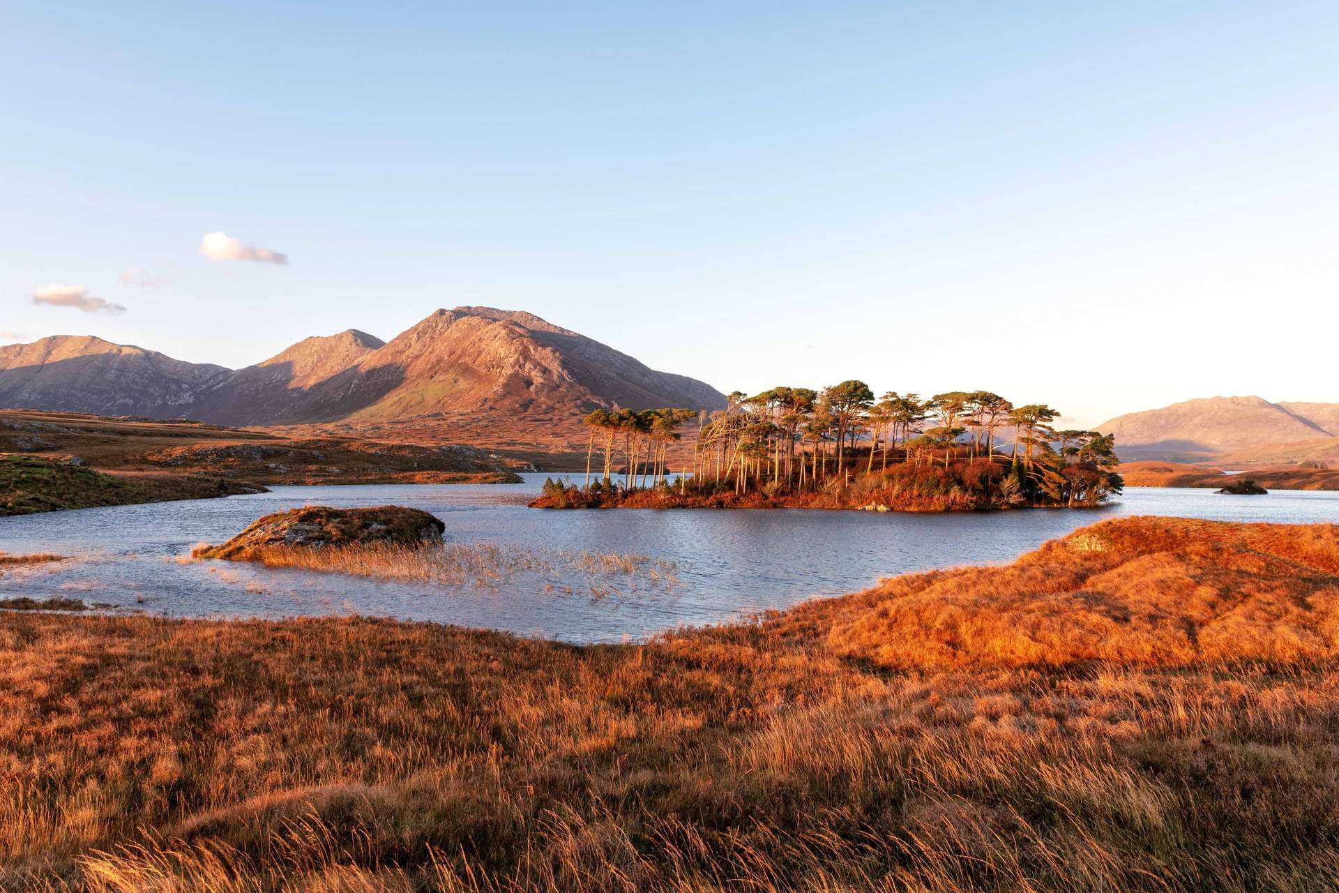 Pines Island, Derryclare Lough, Connemara, Ireland
