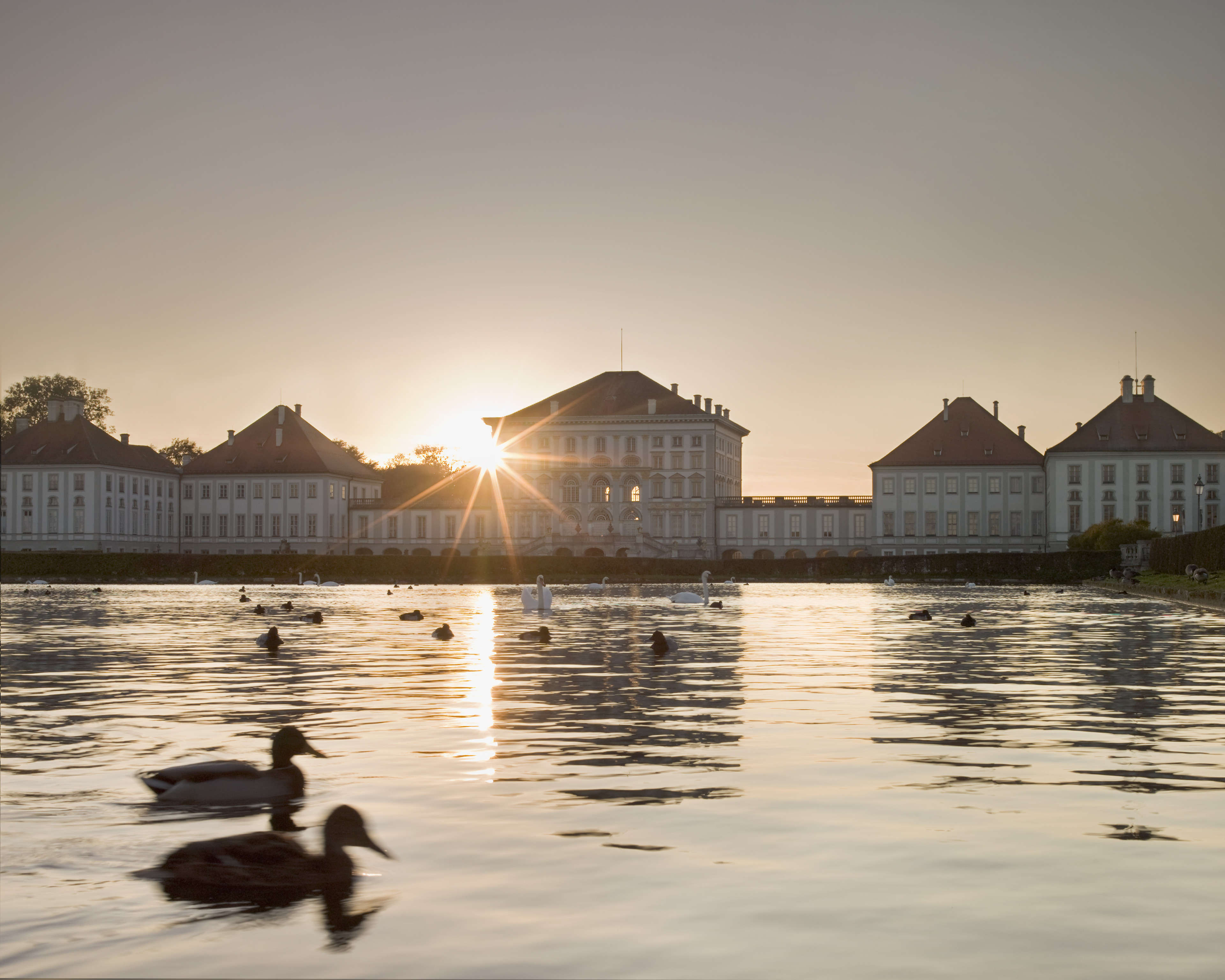 Ducks on the lake at Nymphenburg Palace