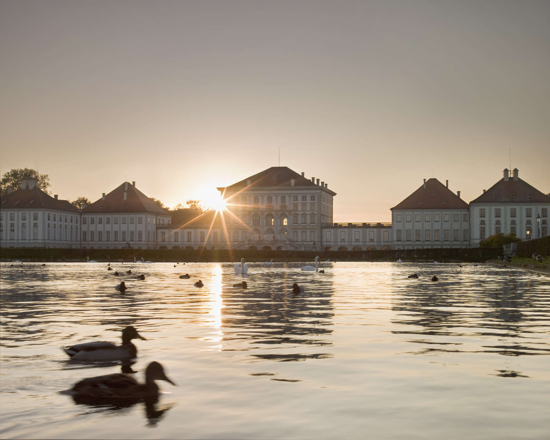 Ducks on the lake at Nymphenburg Palace