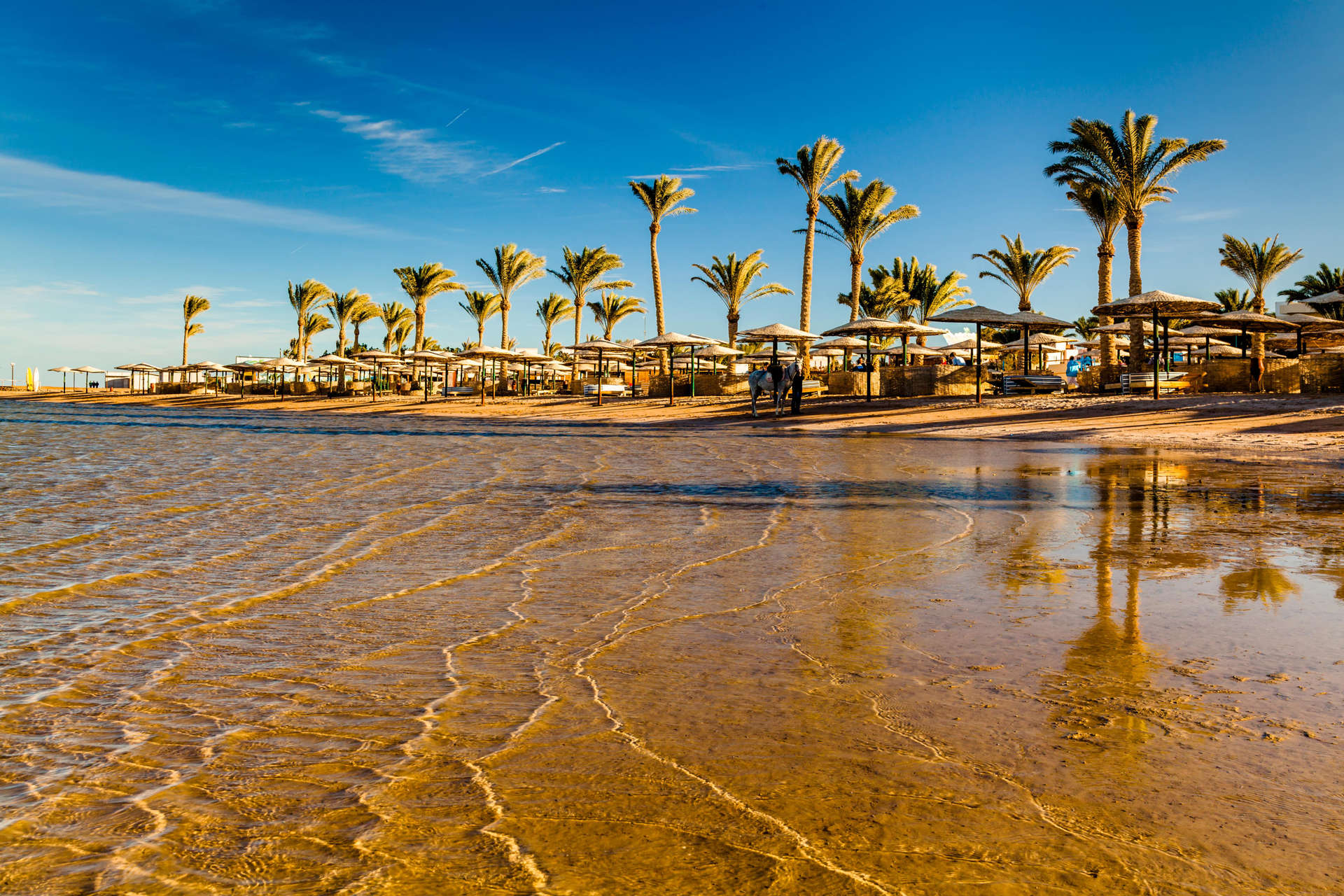 Egypt's Red Sea coast