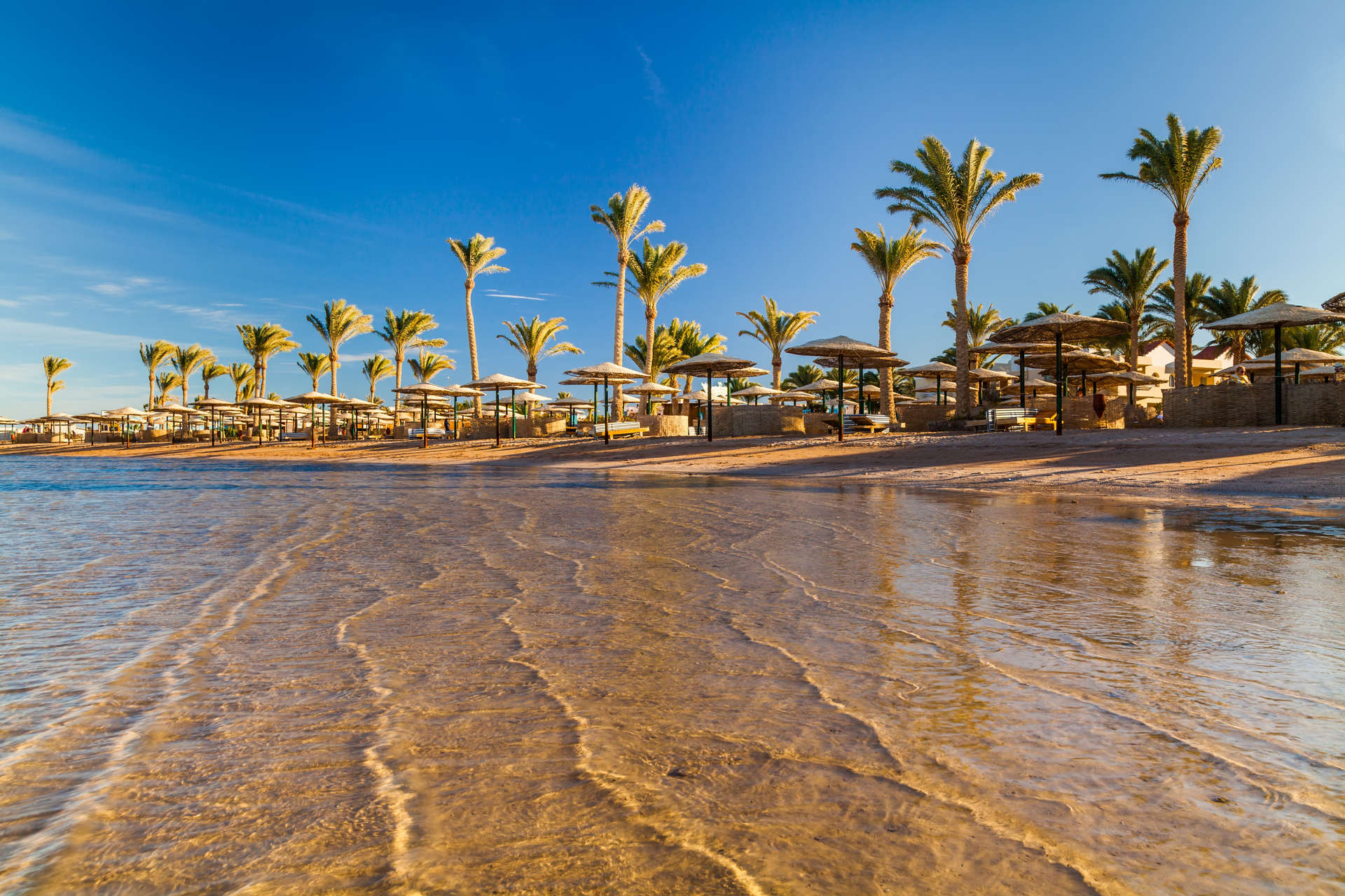 Ein palmengesäumter Strand in Ägypten