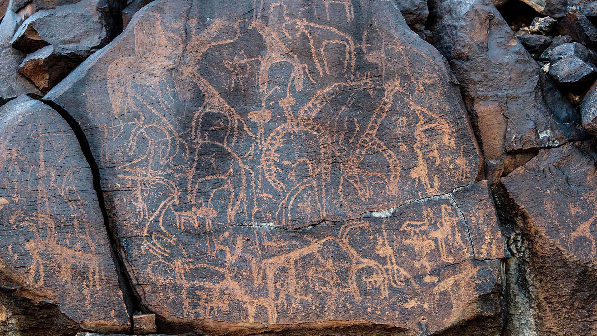 Experience ancient history up close at Abourma Rock Art Site