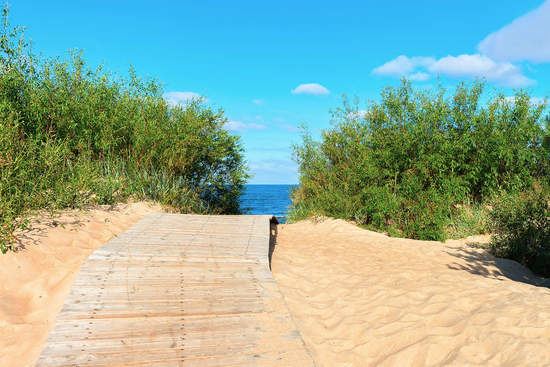 Footpath at sand dune at Baltic Sea in Palanga resort