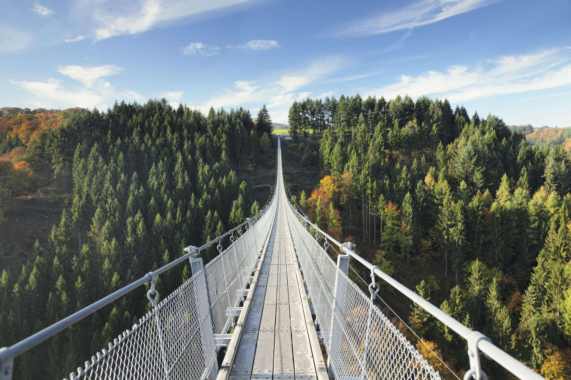 Geierlay Suspension Bridge