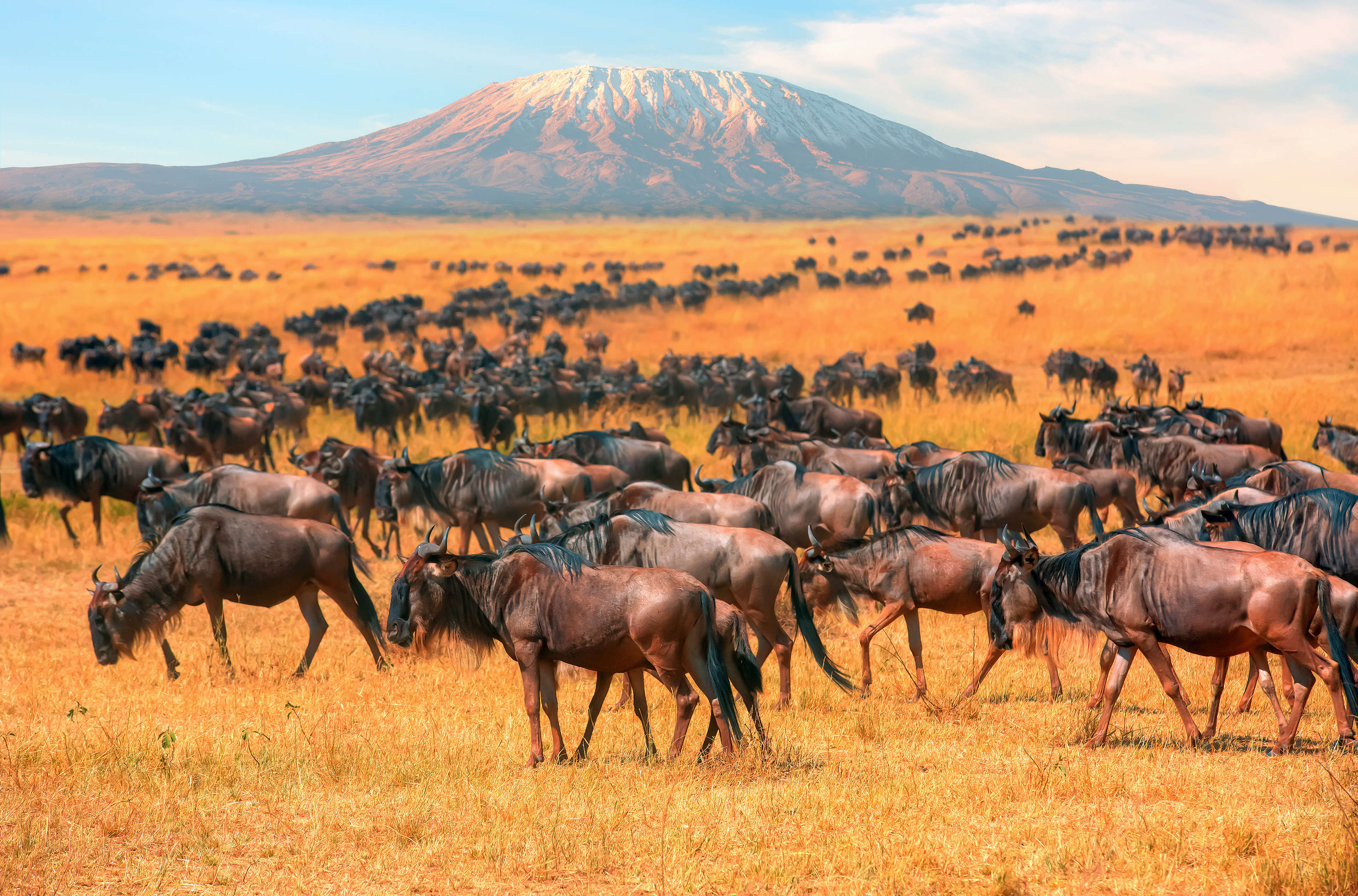 Große Völkerwanderung, Kenia