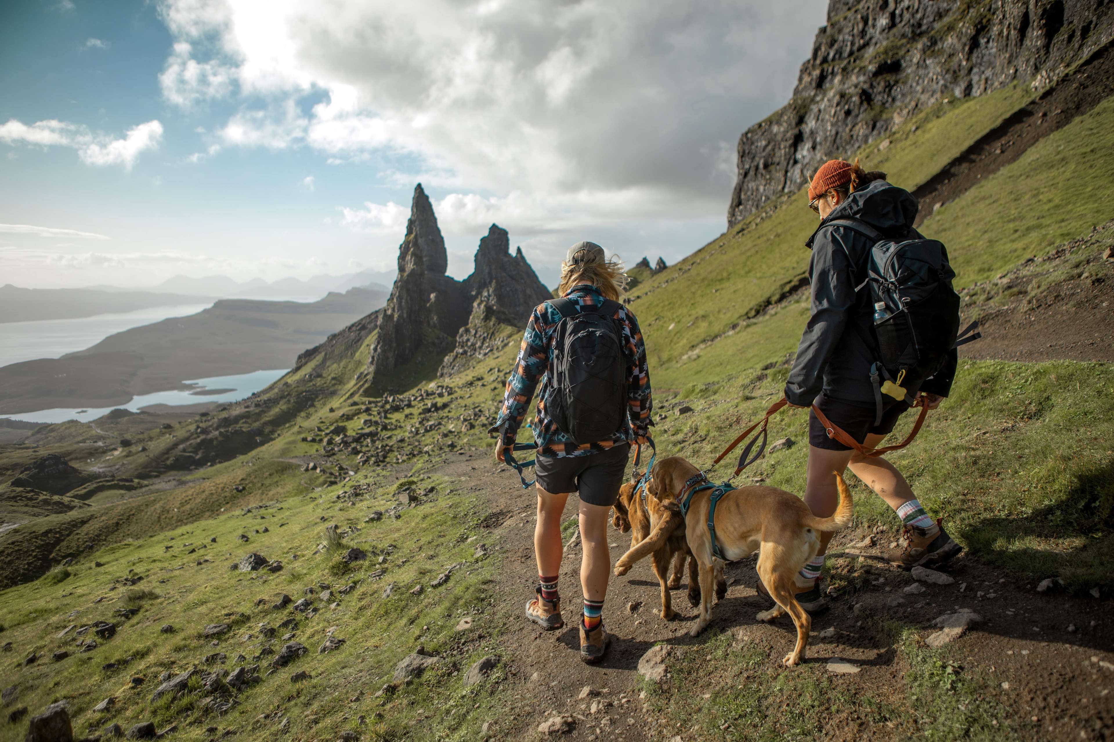 Hiking in Scotland with dogs