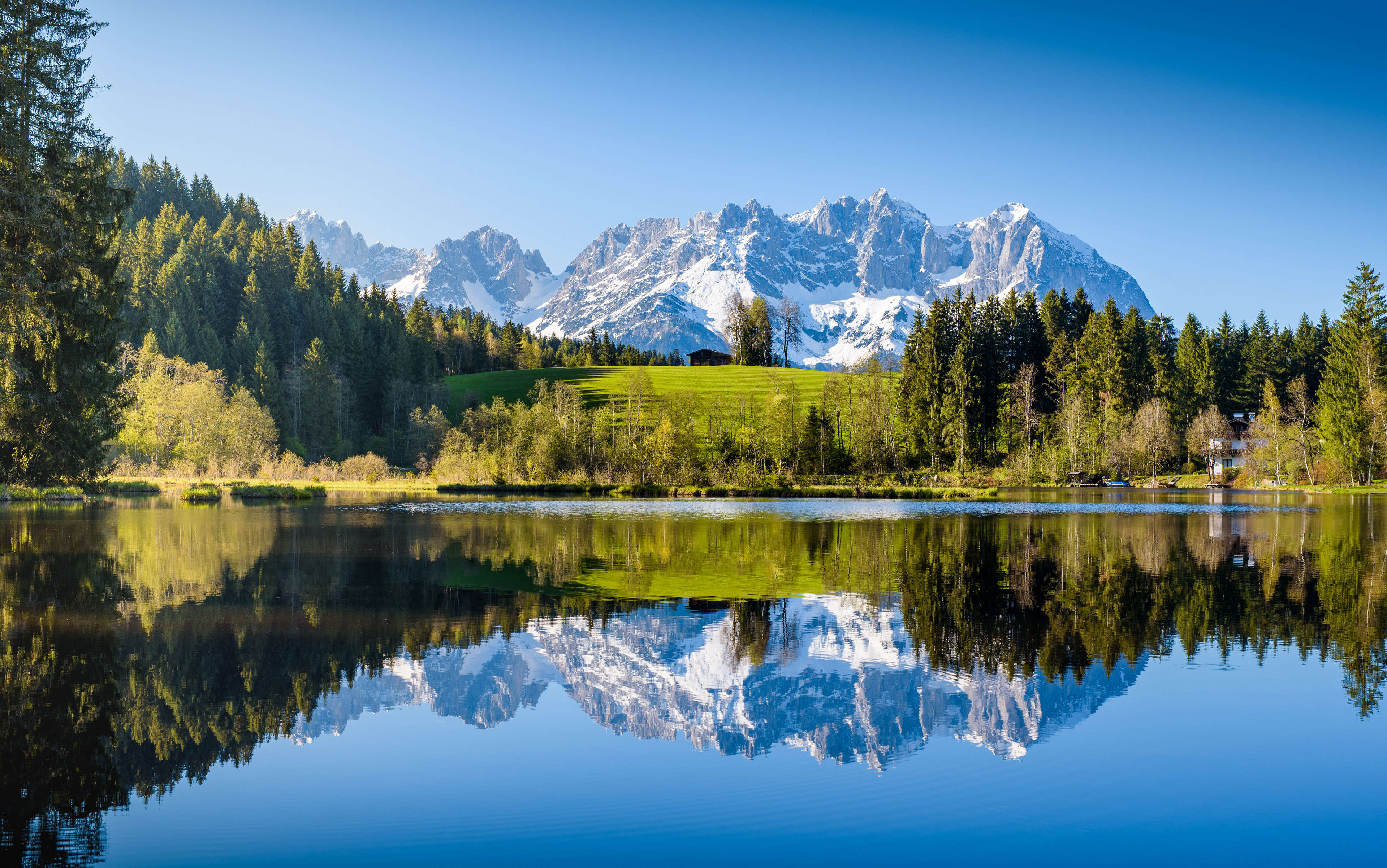 Lech