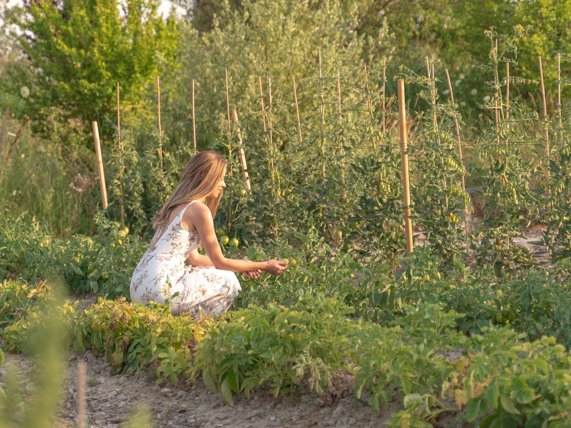 Lose yourself in the resort's enchanting JW Garden in Venice