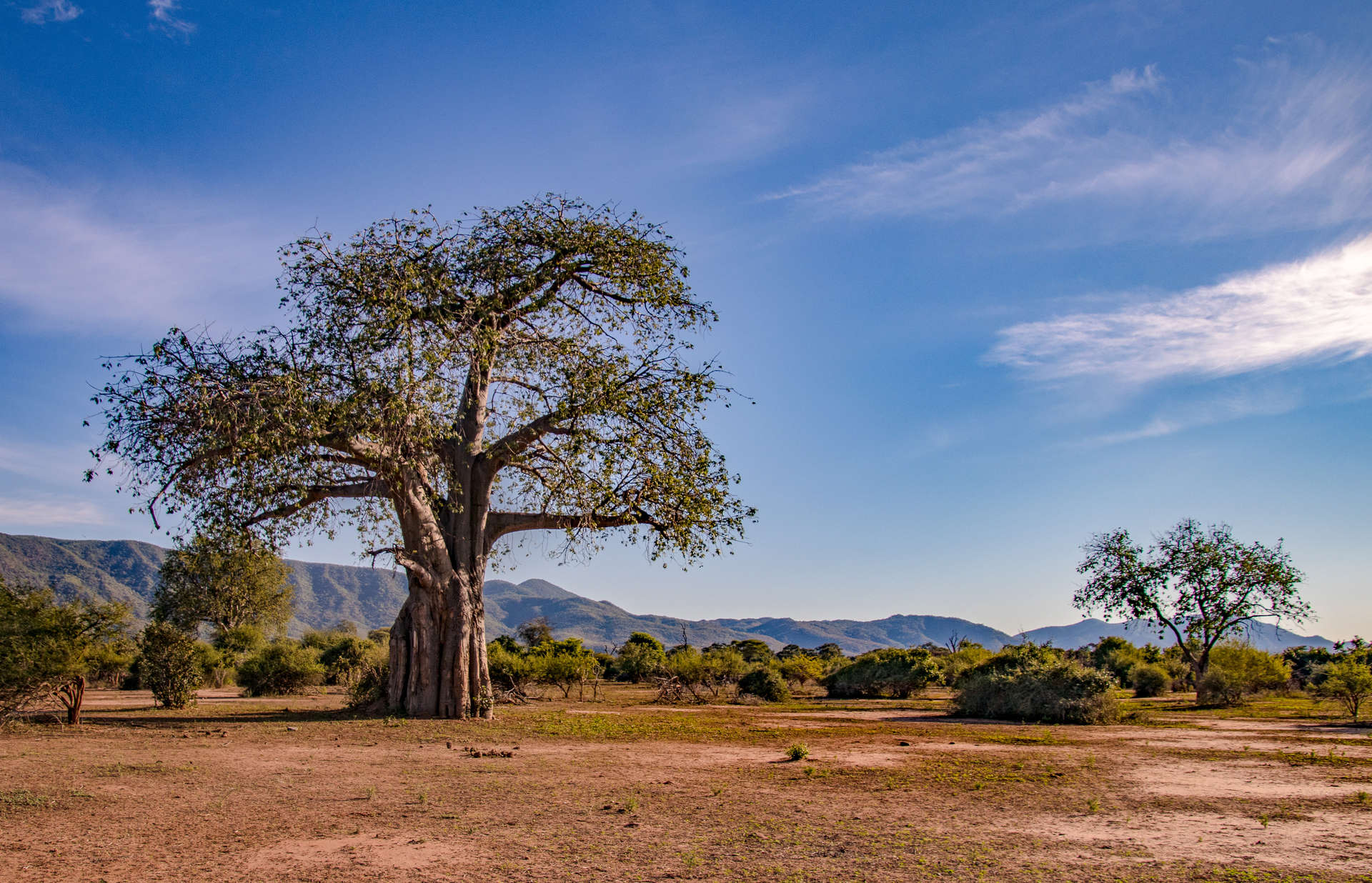 Lower Zambezi National Park