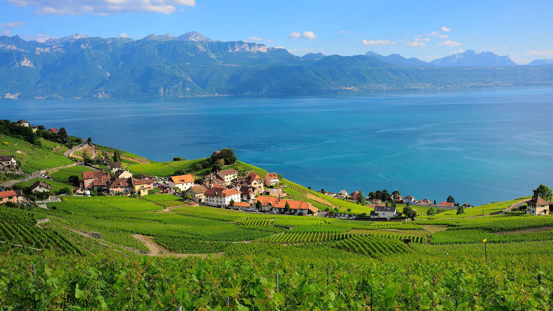 Vista panorámica del lago Lemán, Suiza