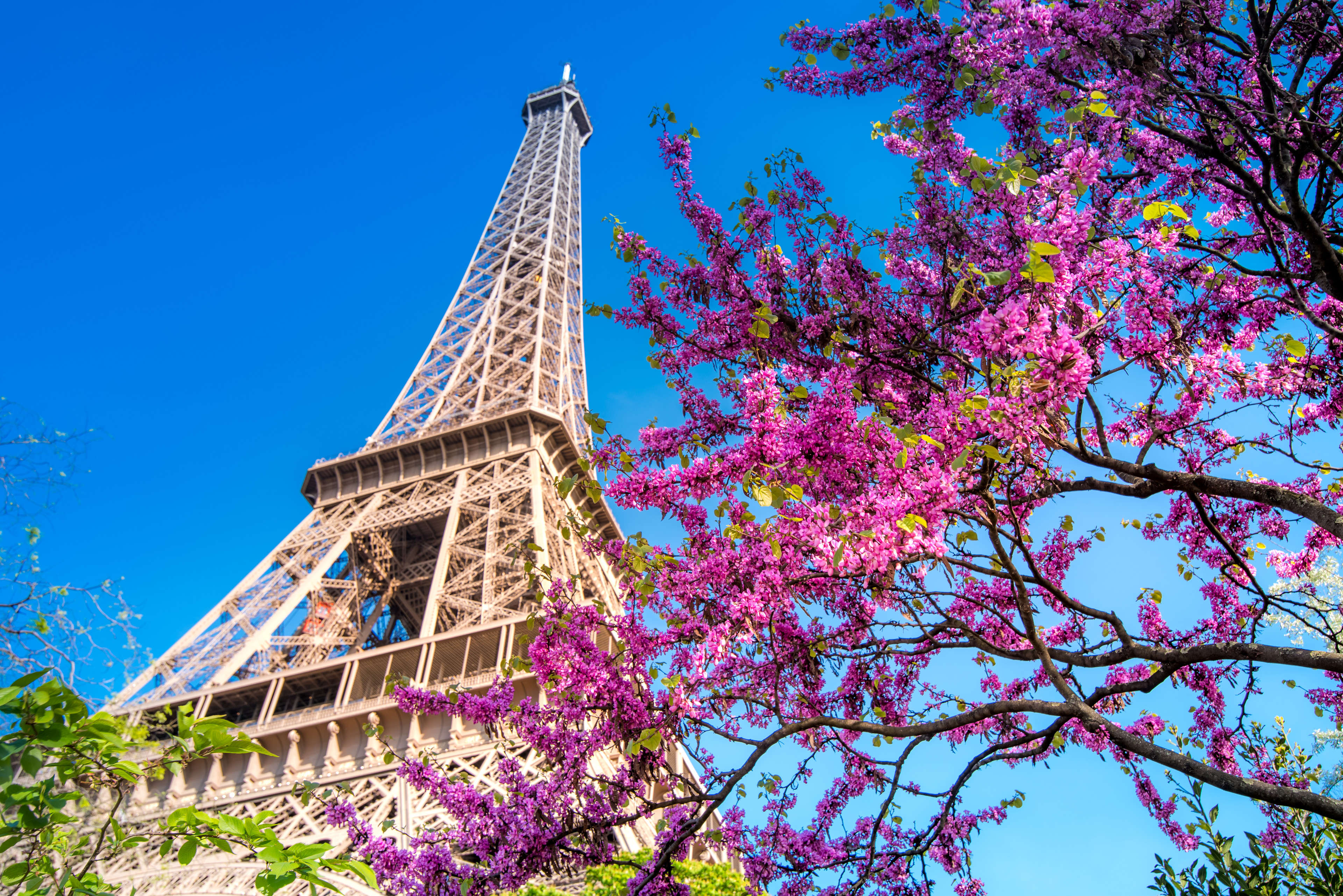 Paris is a delight in April