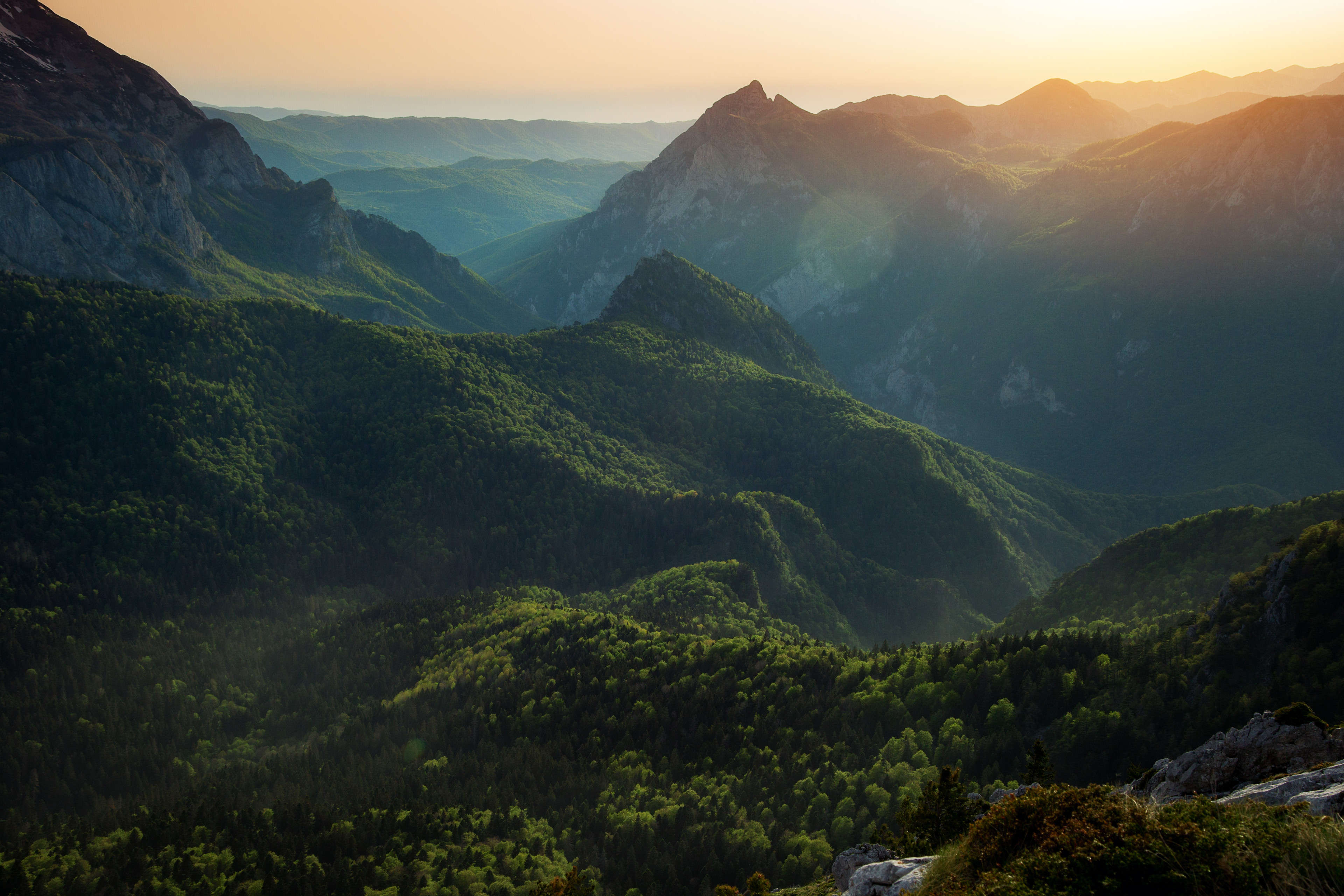 Foresta pluviale di Perucica nel Parco Nazionale di Sutjeska