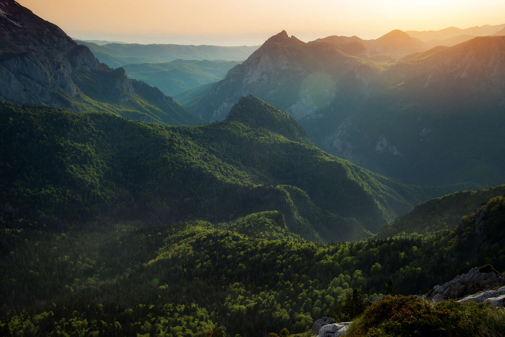 Perucica rainforest in Sutjeska National Park