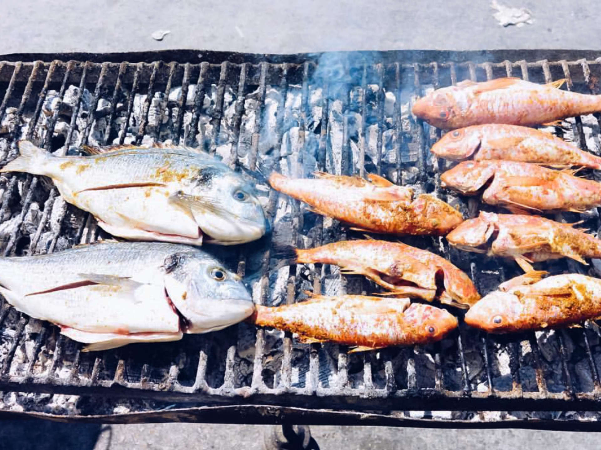 Grilled fish