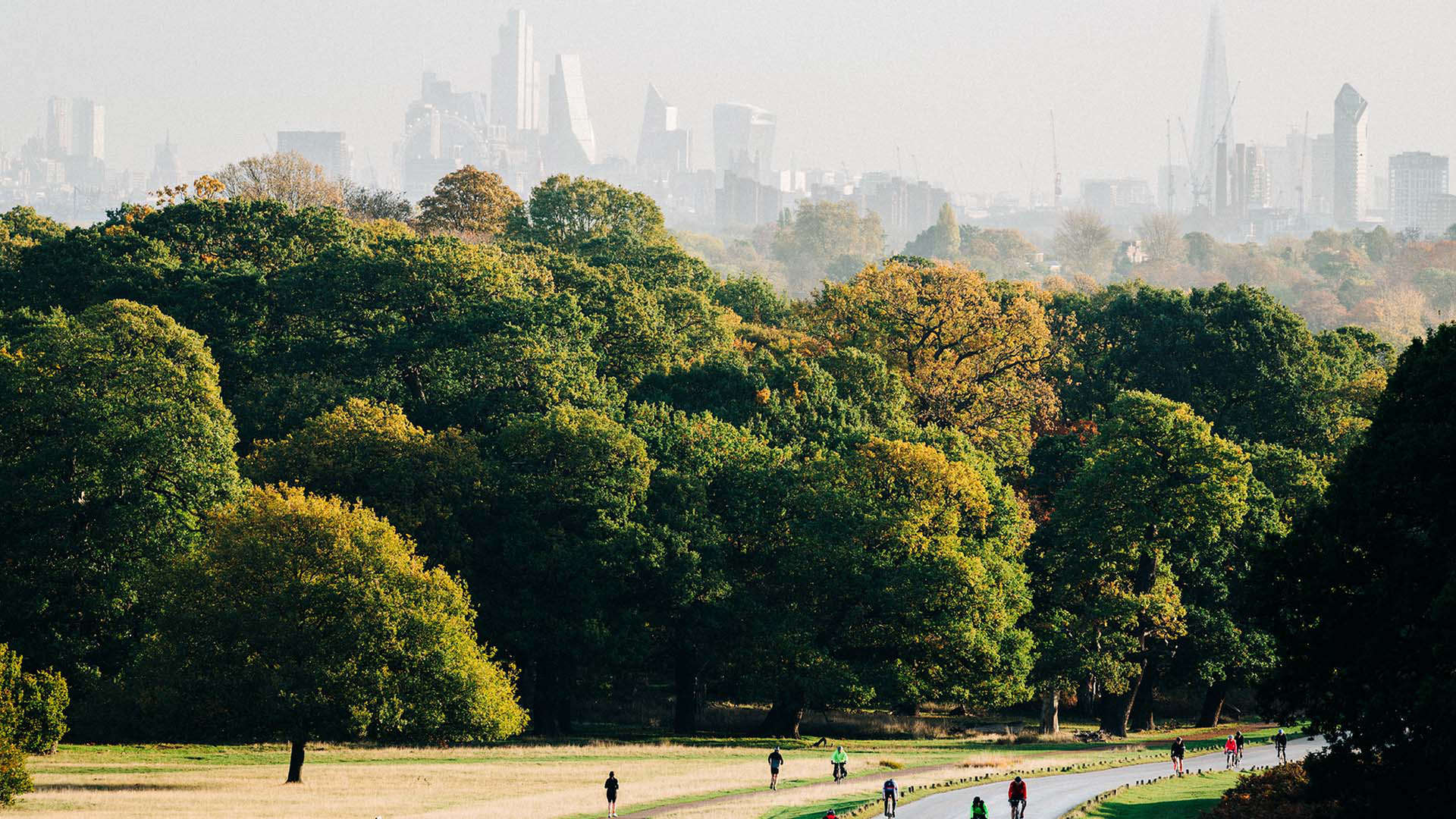 Richmond Park is London's largest royal park