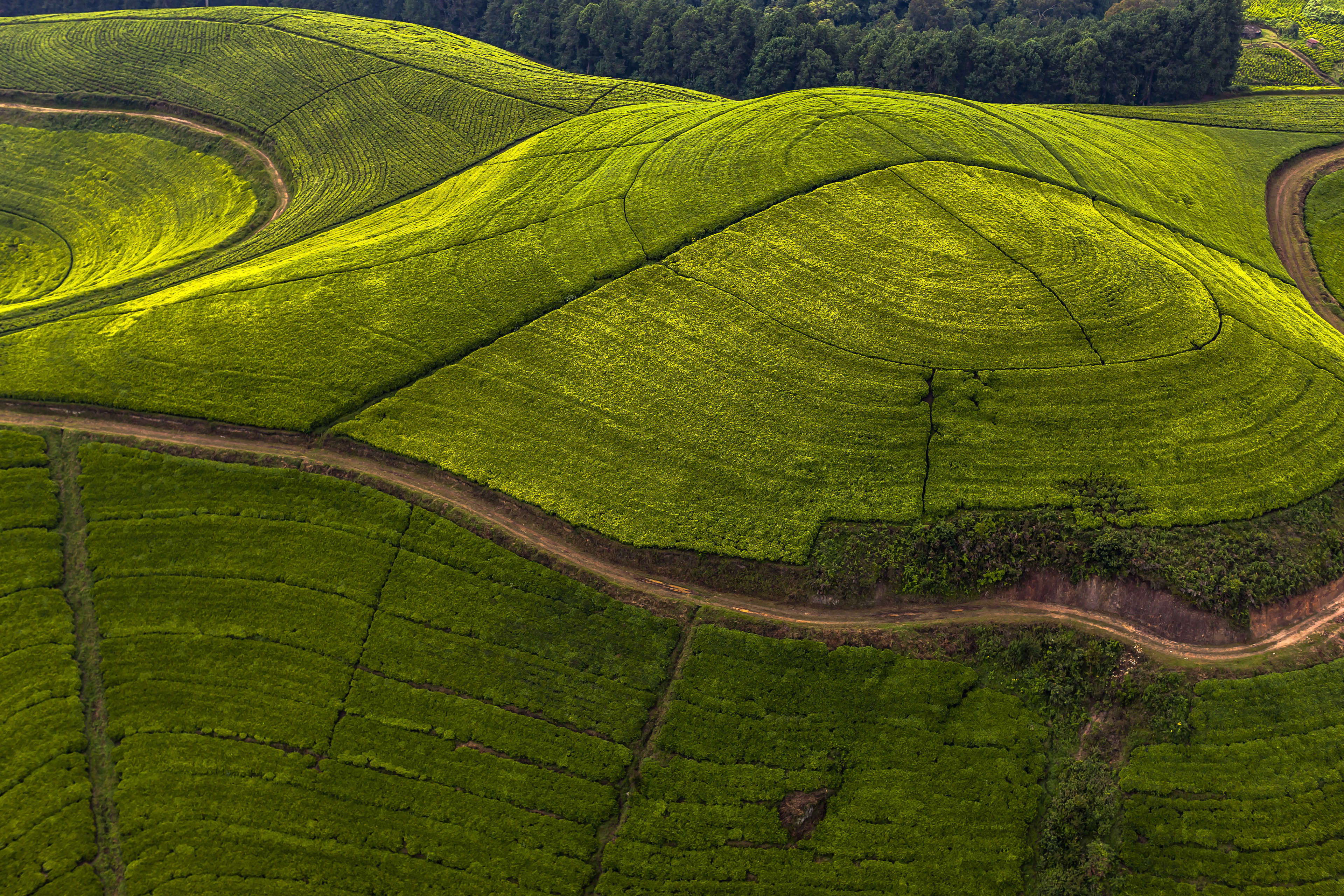 Rwanda produces fantastic tea and the country