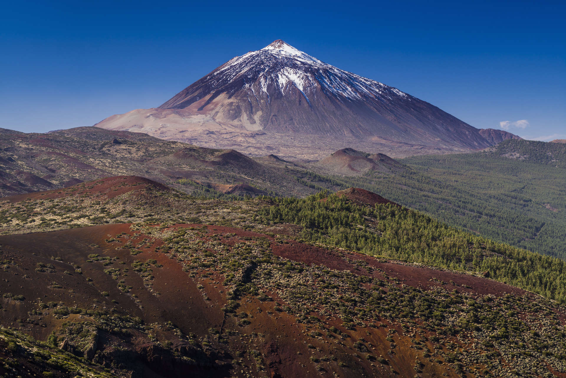 Spain, Canary Islands, Tenerife, Valle de la Orotava, view of the Pico del Teide