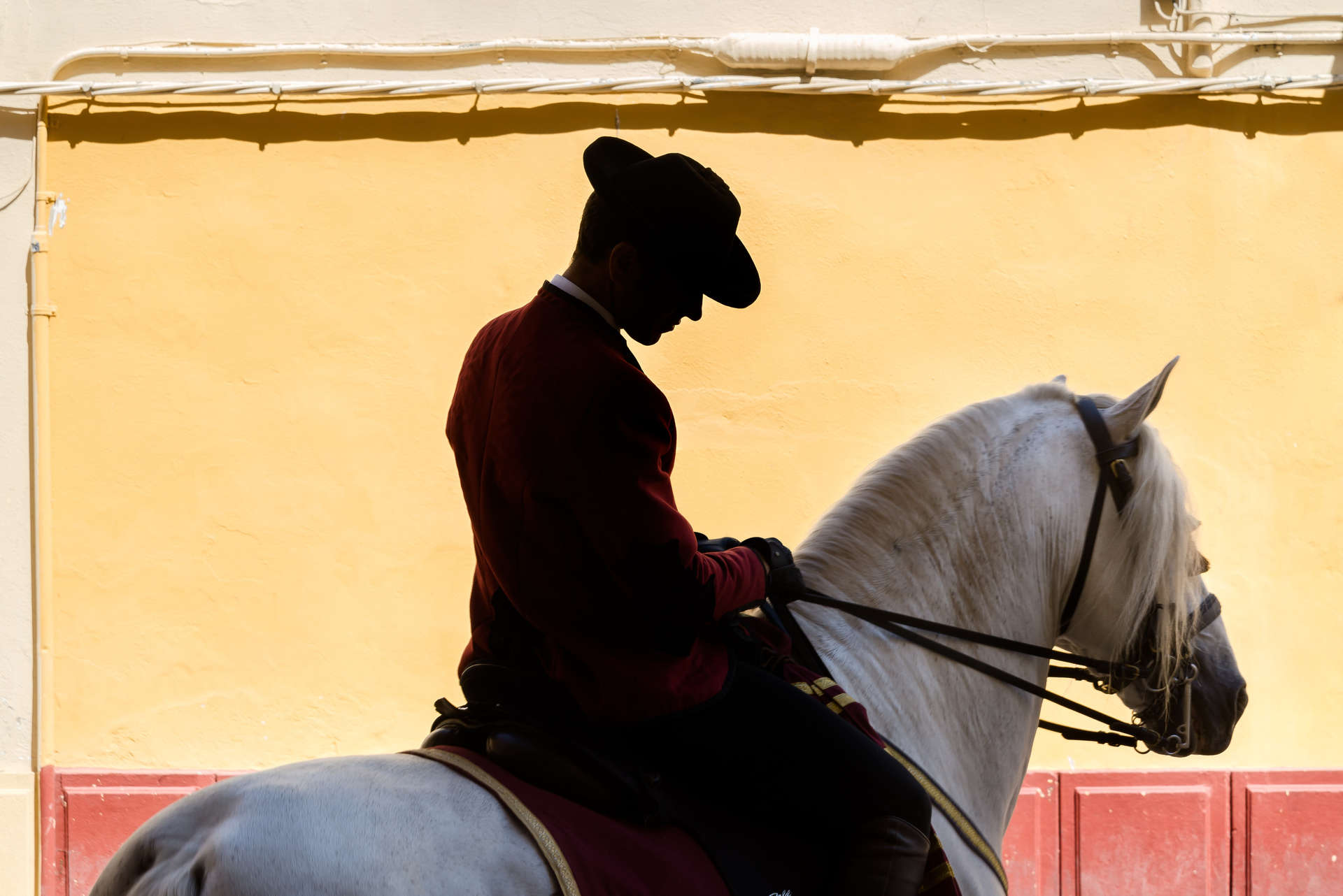 Spanish Horseman riding through Córdoba, Spain