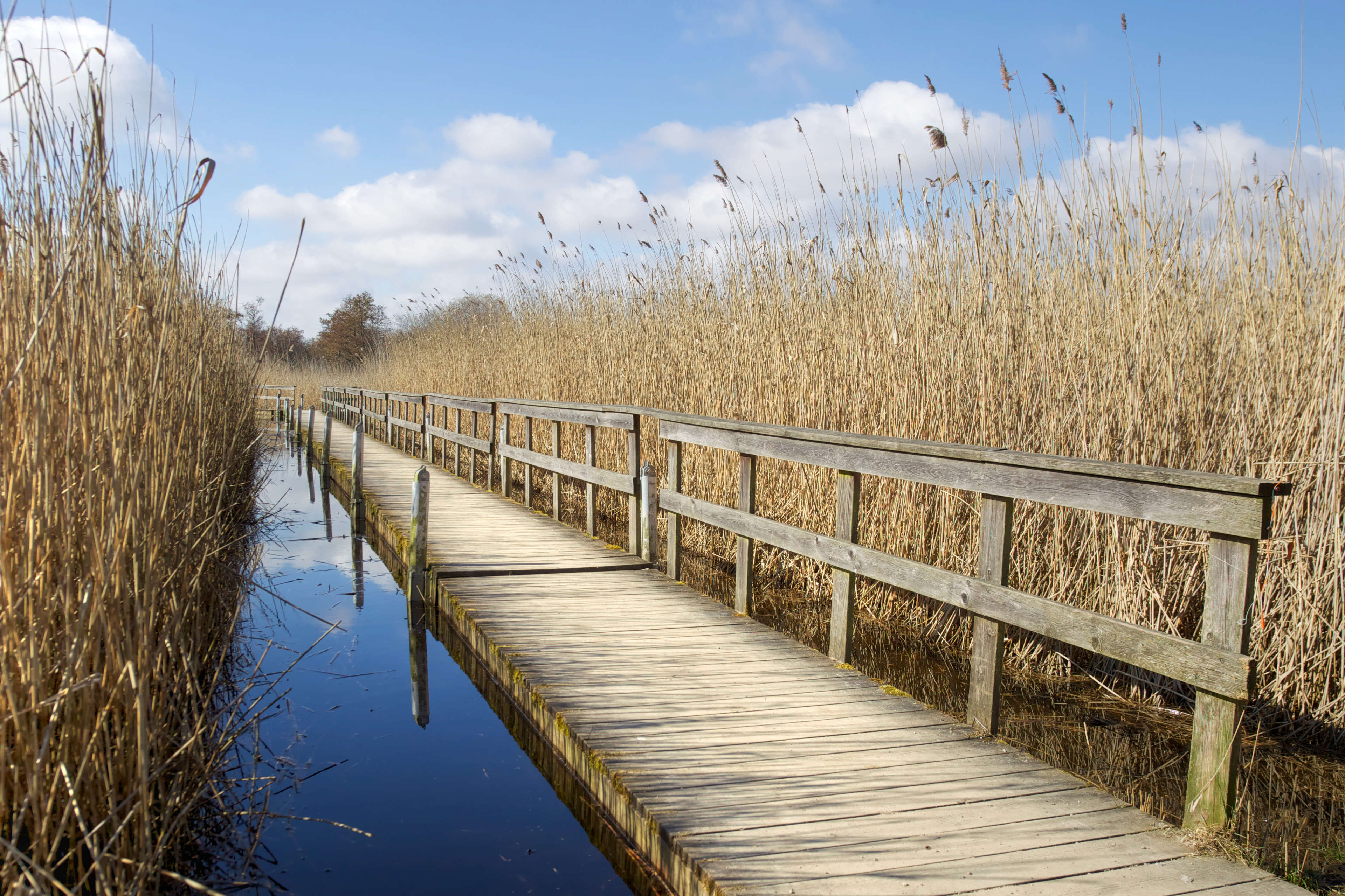 Sunday morning: Experience the joy of nature in the big city