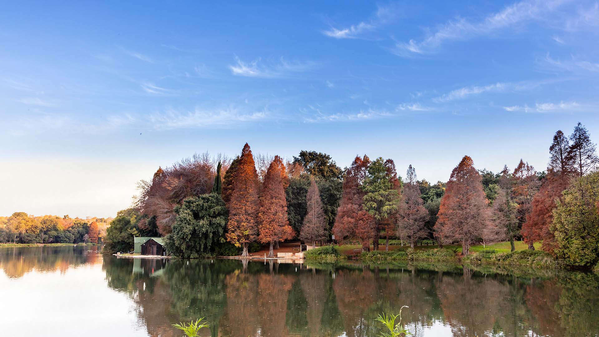 Spend time outdoors in the Johannesburg Botanical Garden