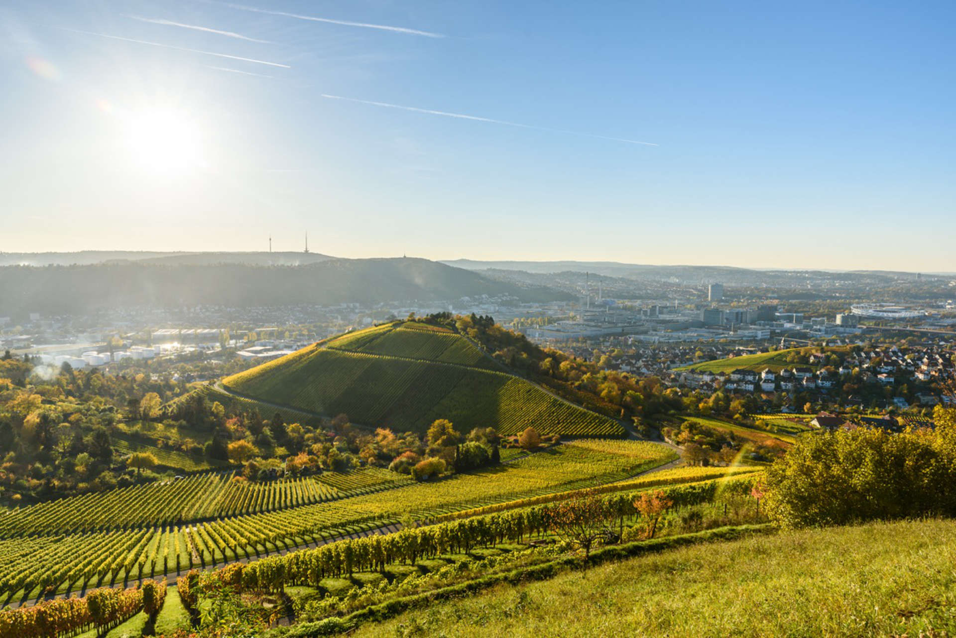 Stuttgart vineyard.jpeg