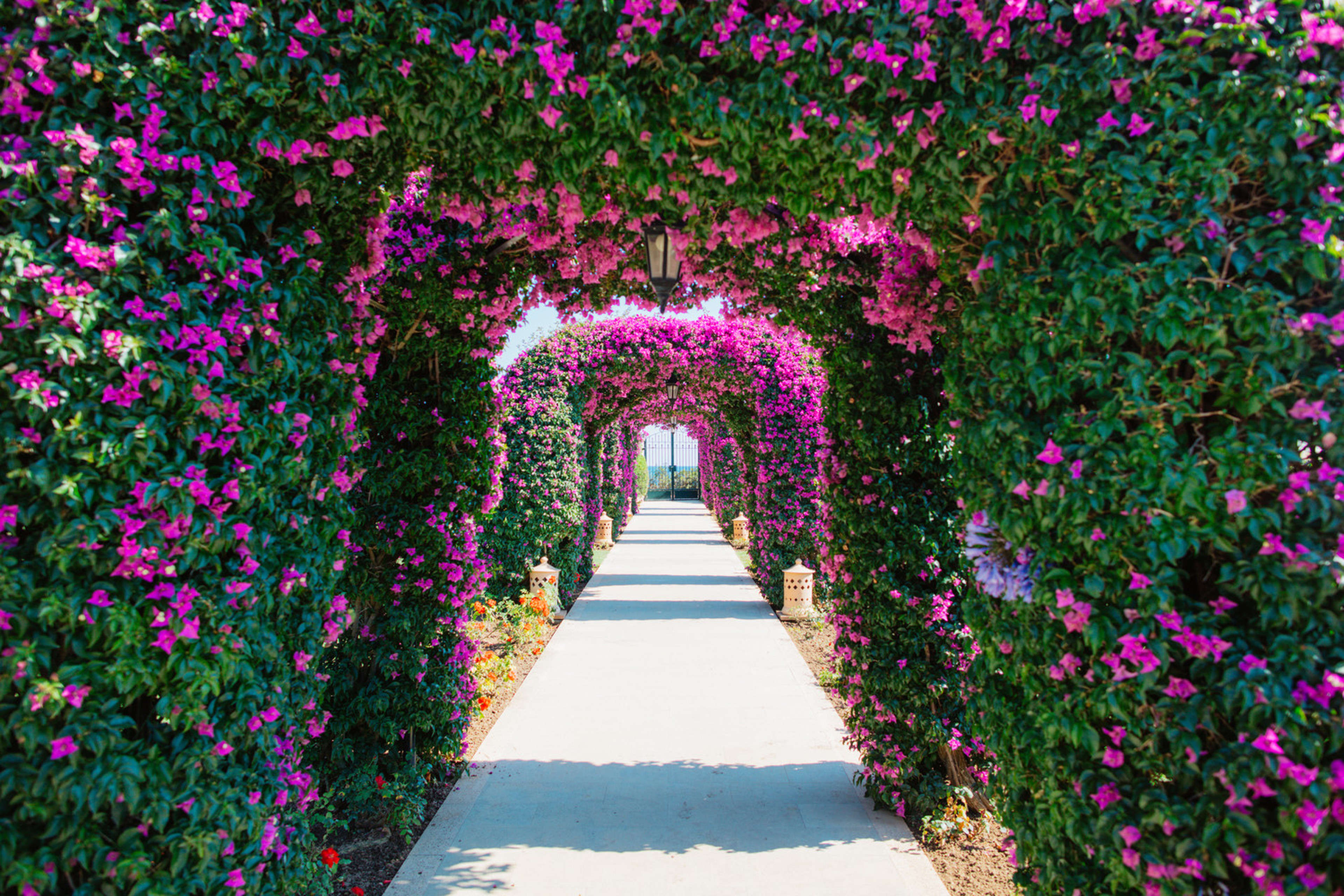 The St. Regis Mardavall Mallorca Resort