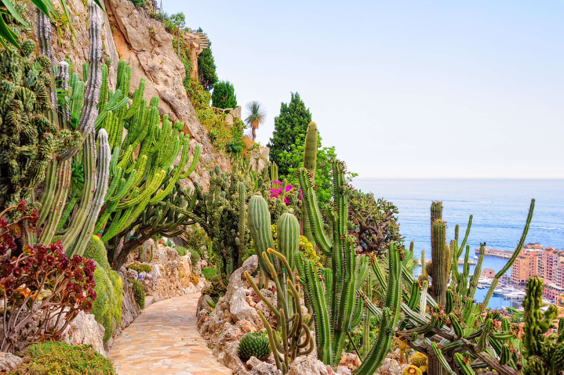 The terraces of Monaco's Jardin Exotique offer terrific views back over the sea