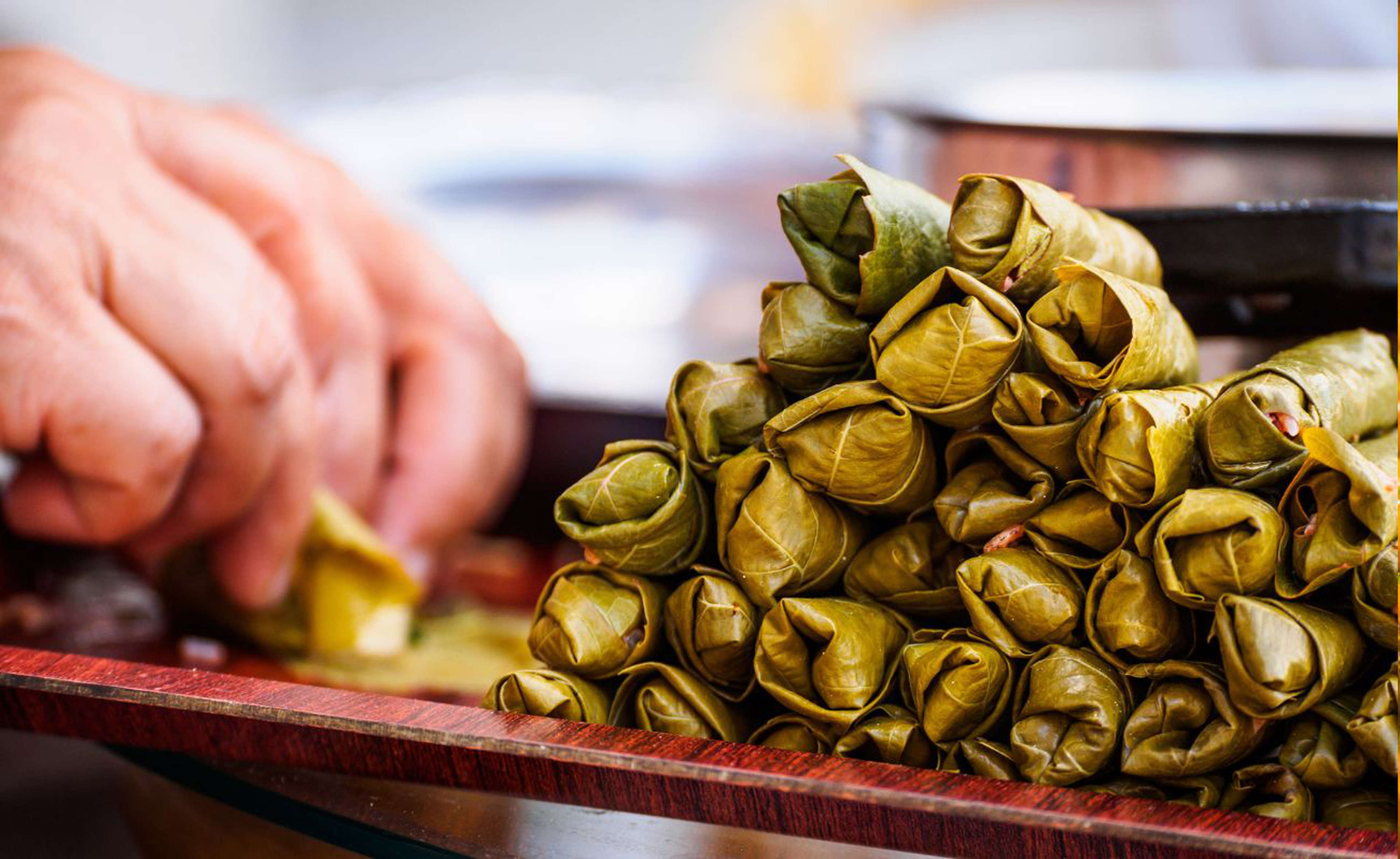 Traditional Middle Eastern Dolma
