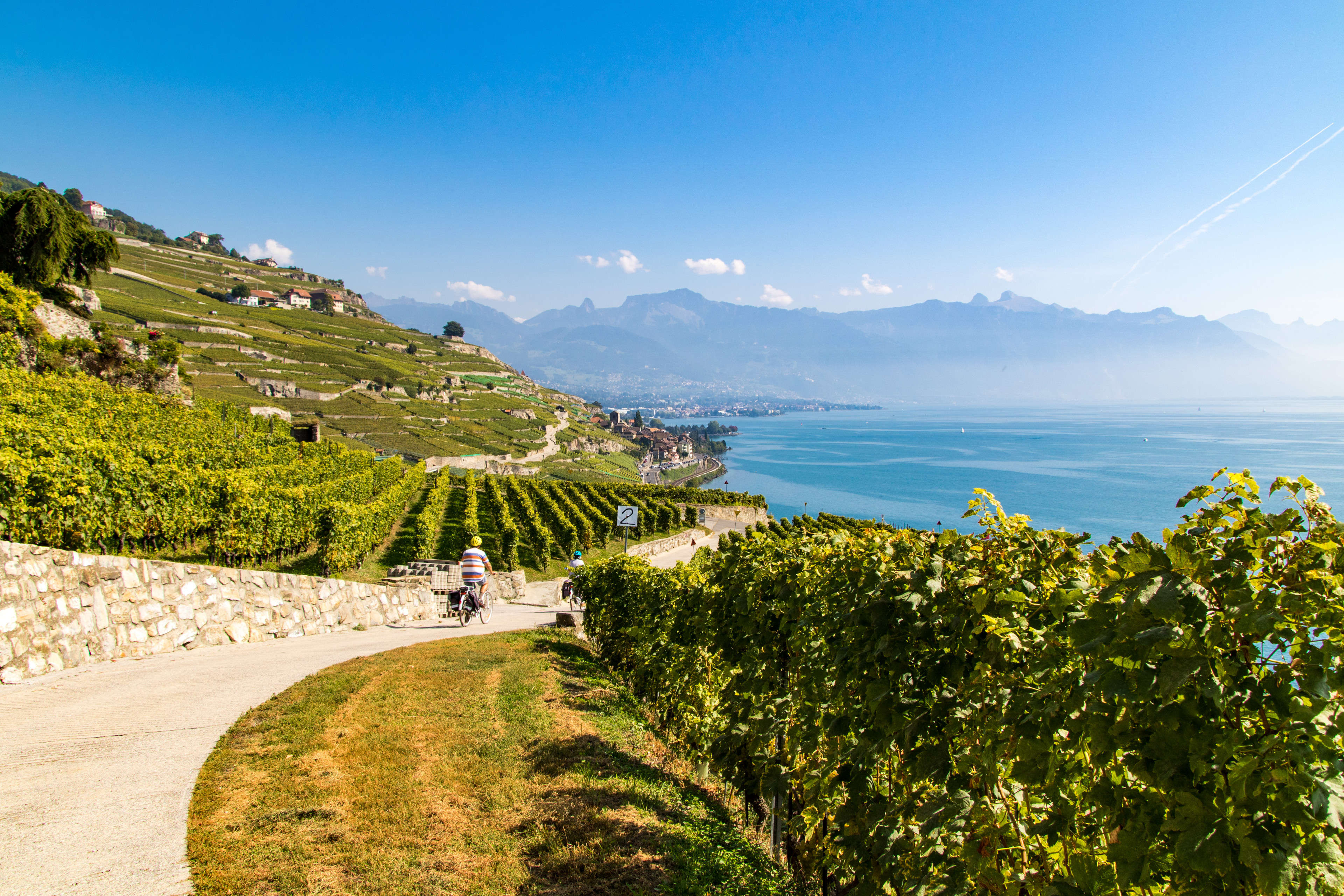 Le vignoble de Lavaux bénéficie d