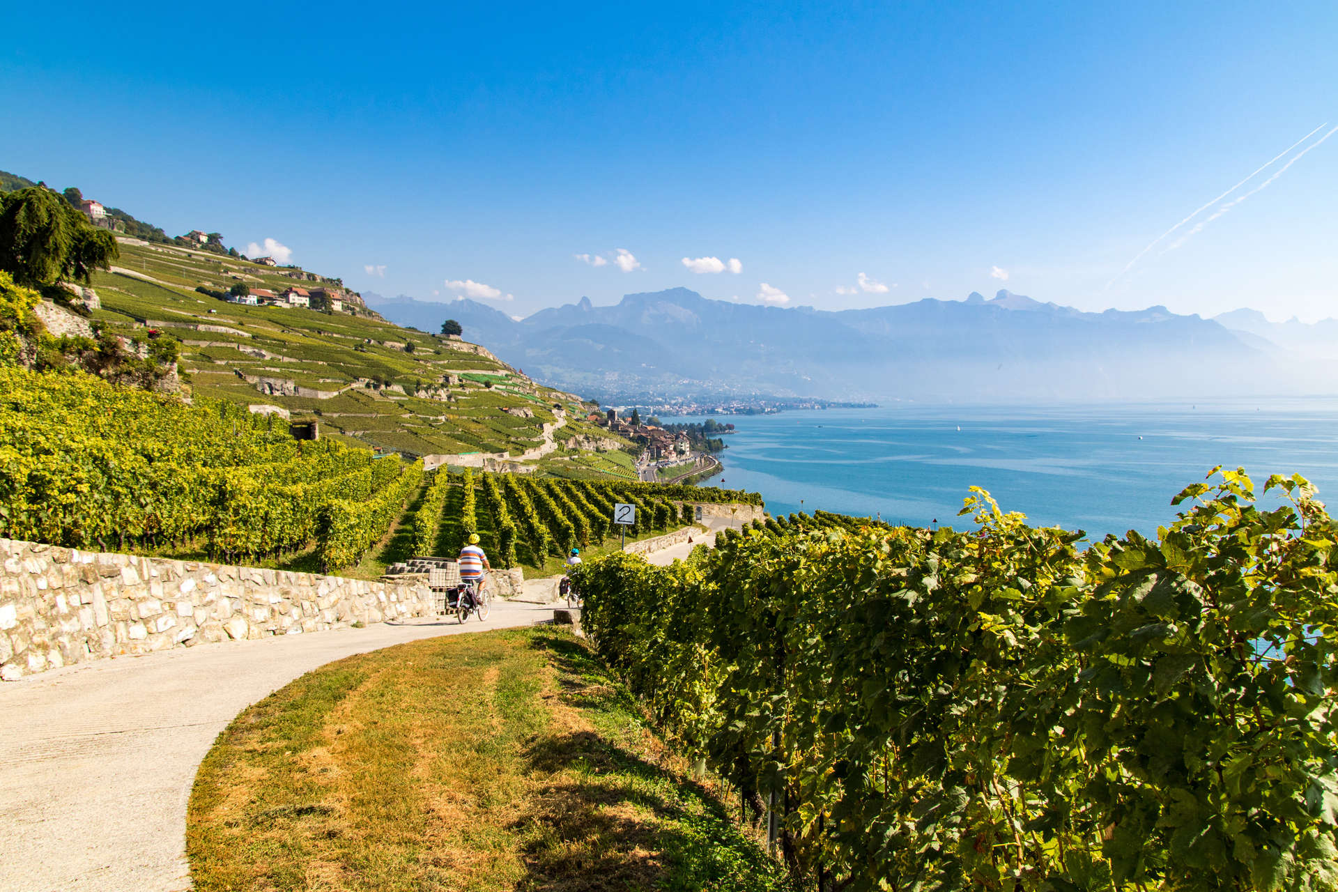 Le vignoble de Lavaux bénéficie d'une situation magnifique, avec une vue sur le lac Léman toujours accessible.