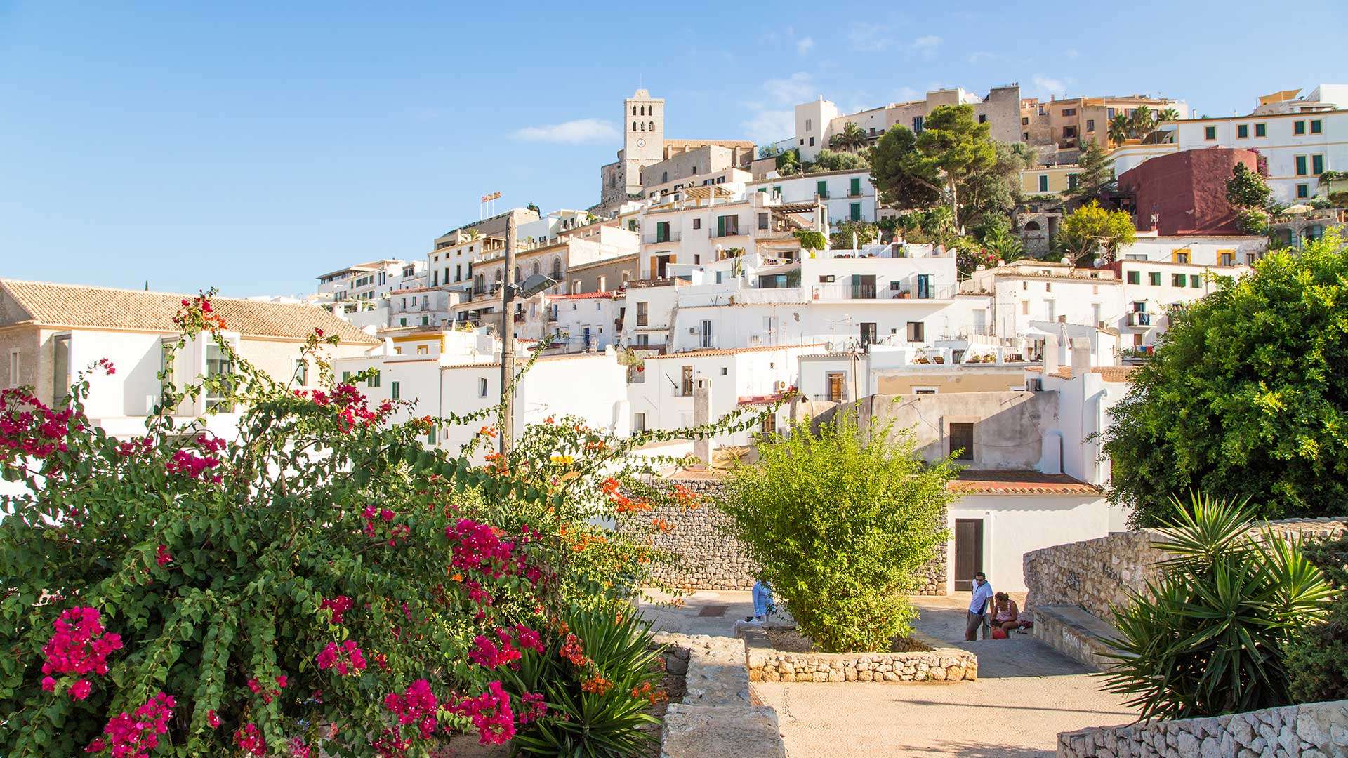 Charmante, weiße Häuser in Ibiza