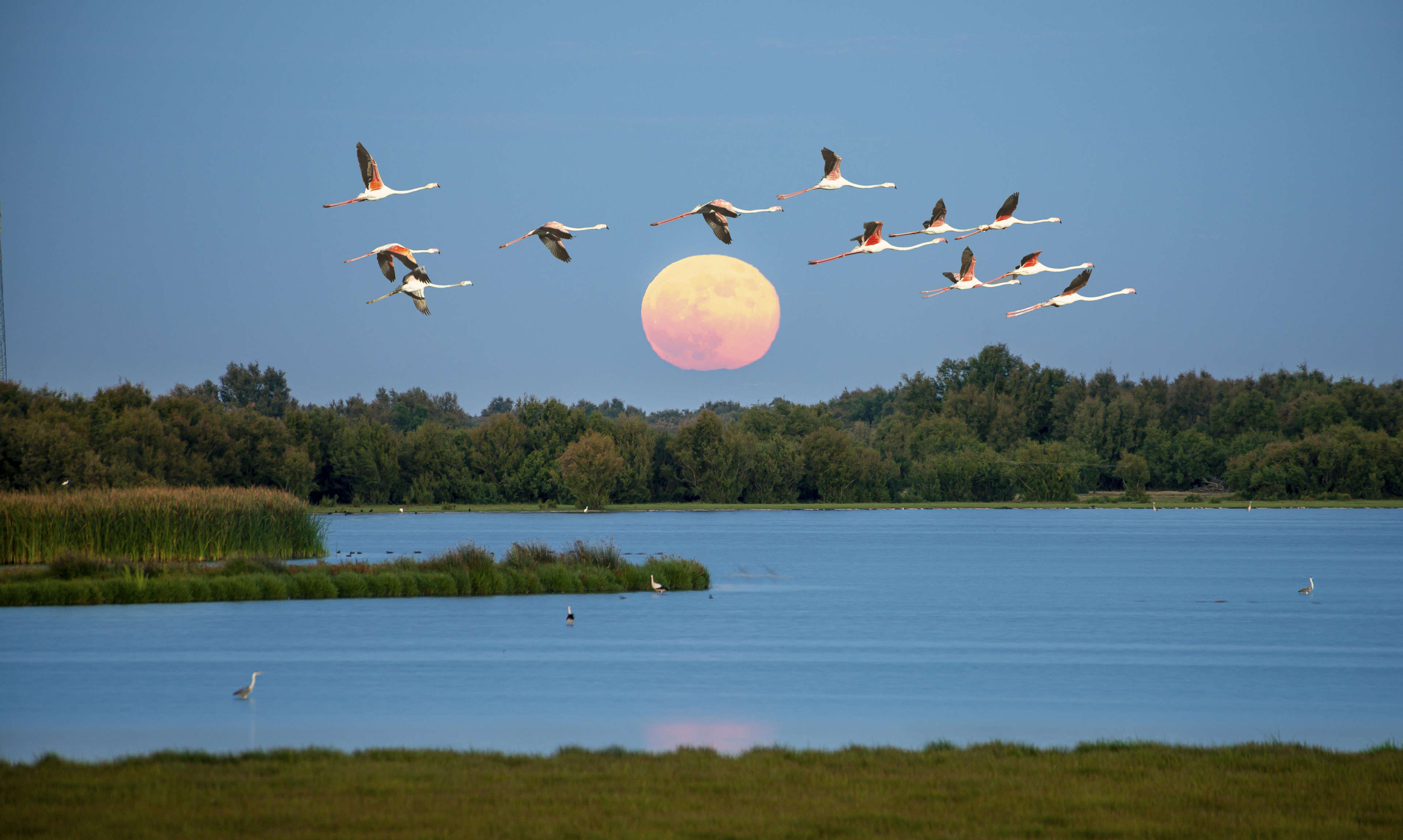 The Parque Nacional de Doñana