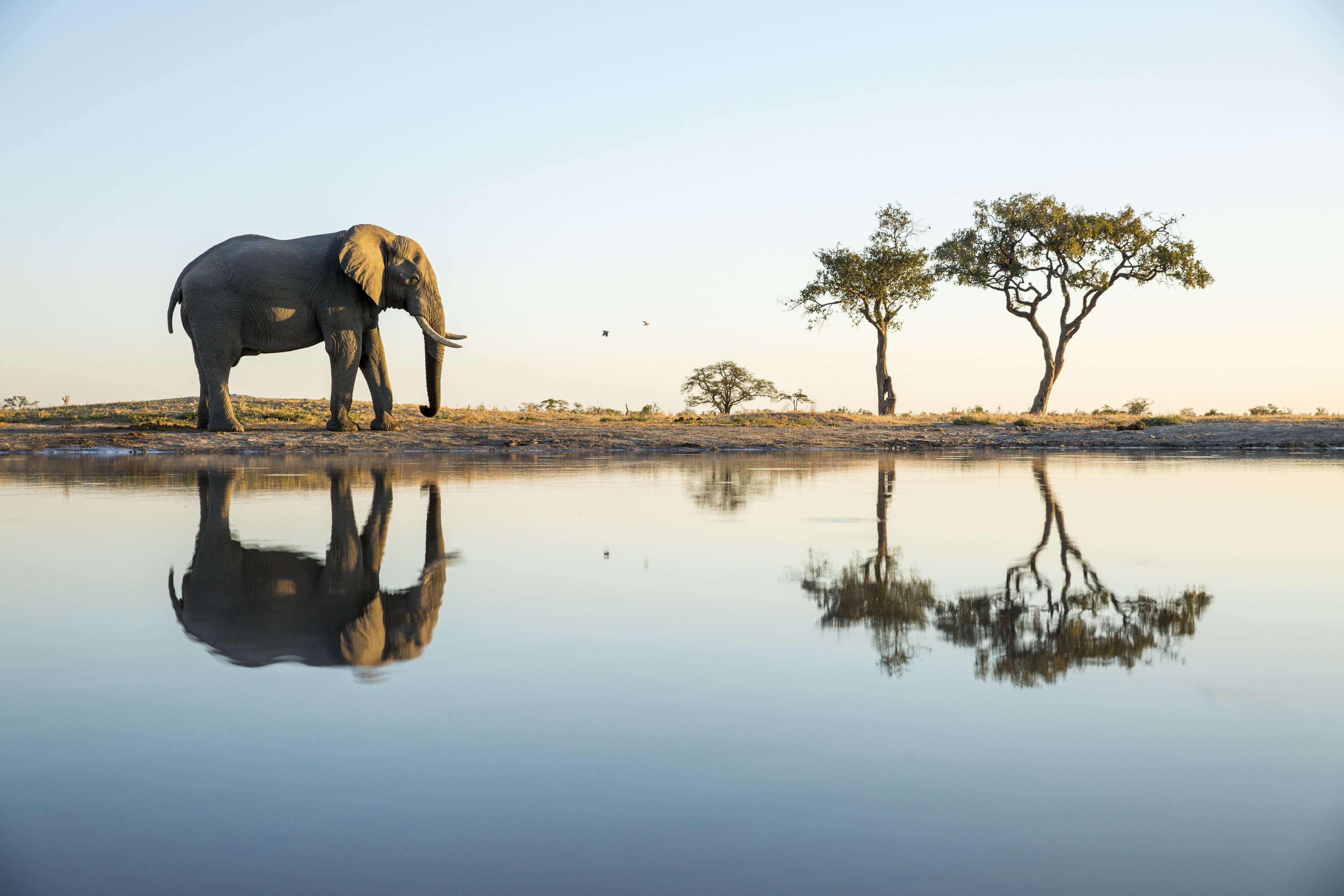 Chobe National Park