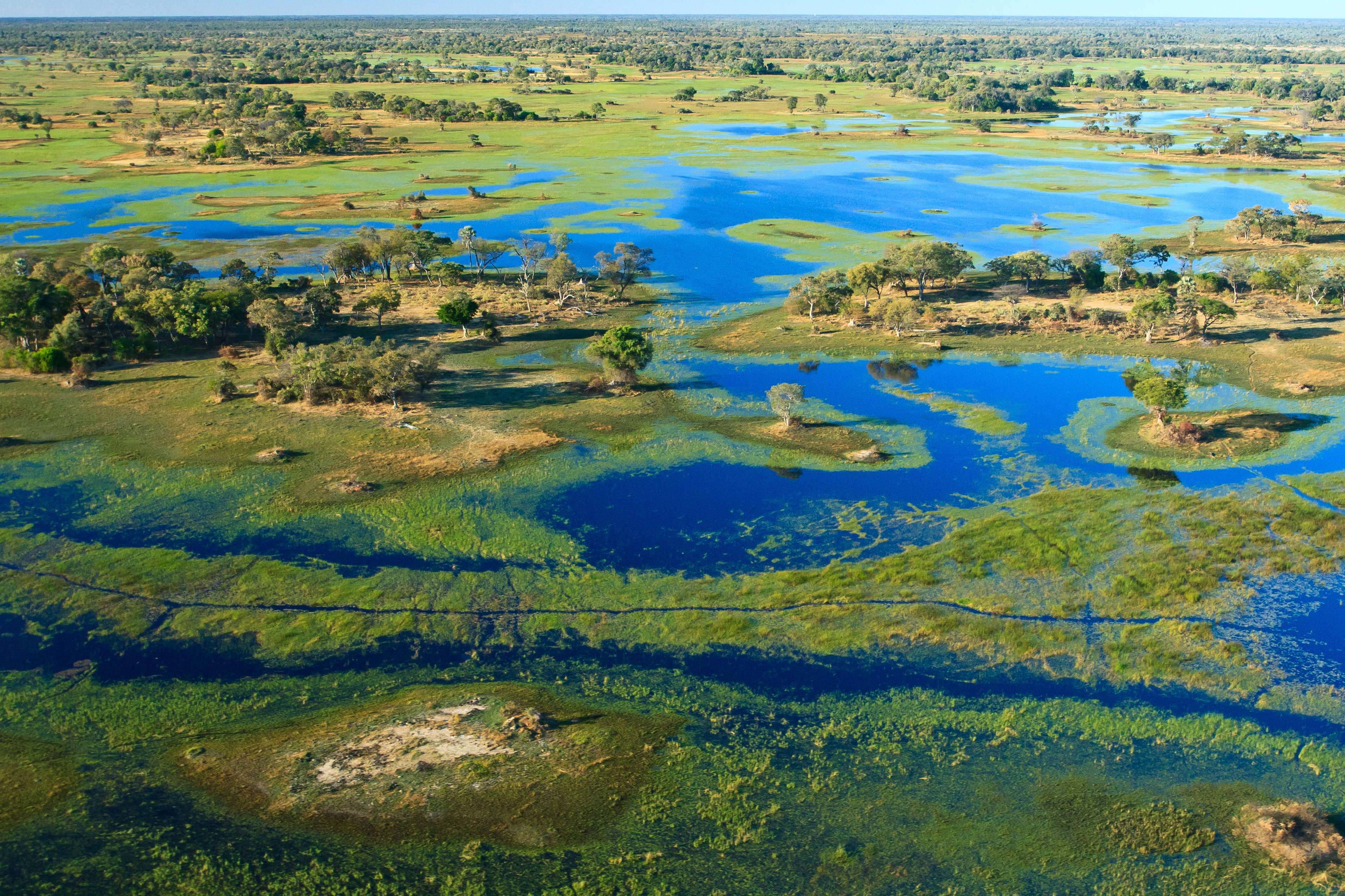 The Okavango Delta